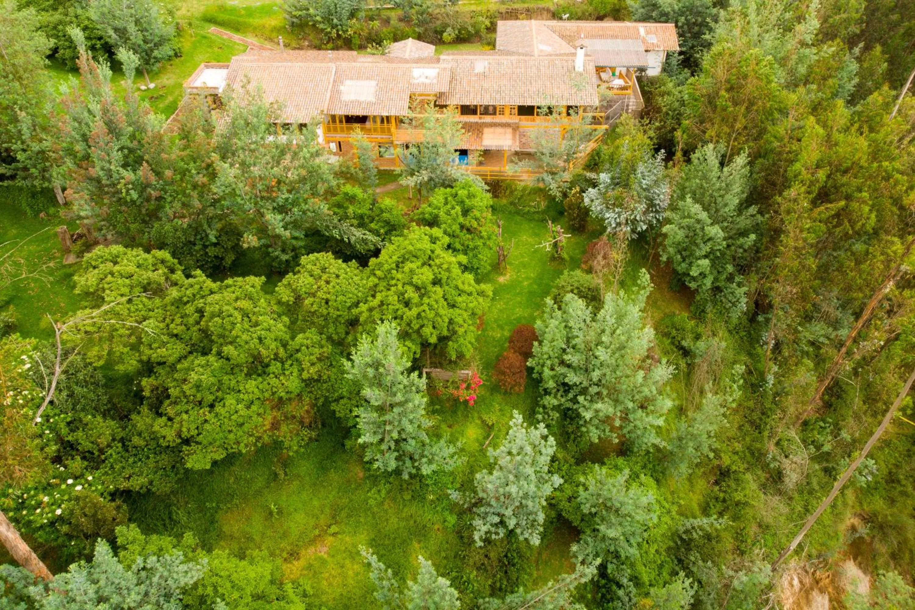 View (from property/room) in Hacienda Jimenita Wildlife Reserve