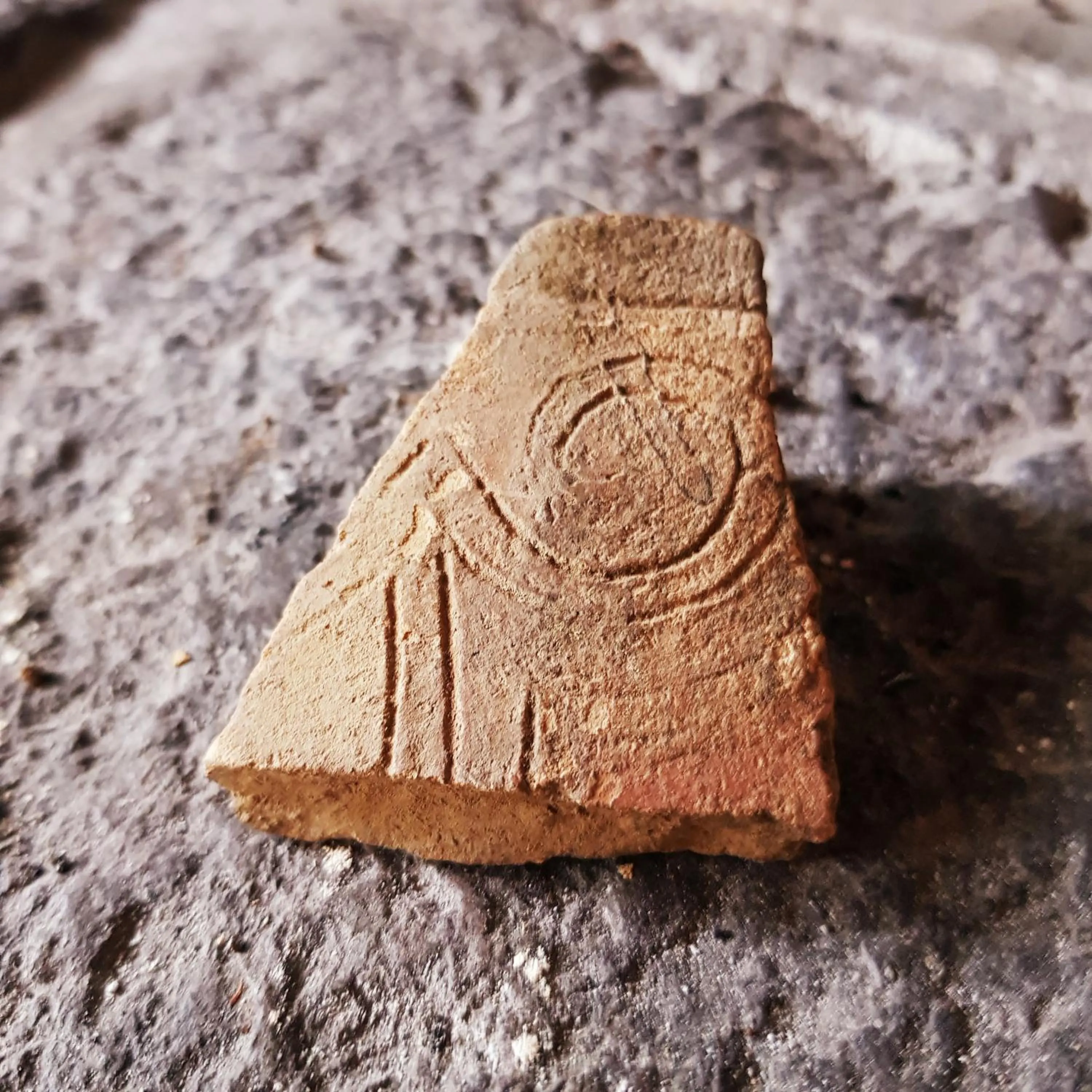 Activities in Hacienda Jimenita Wildlife Reserve