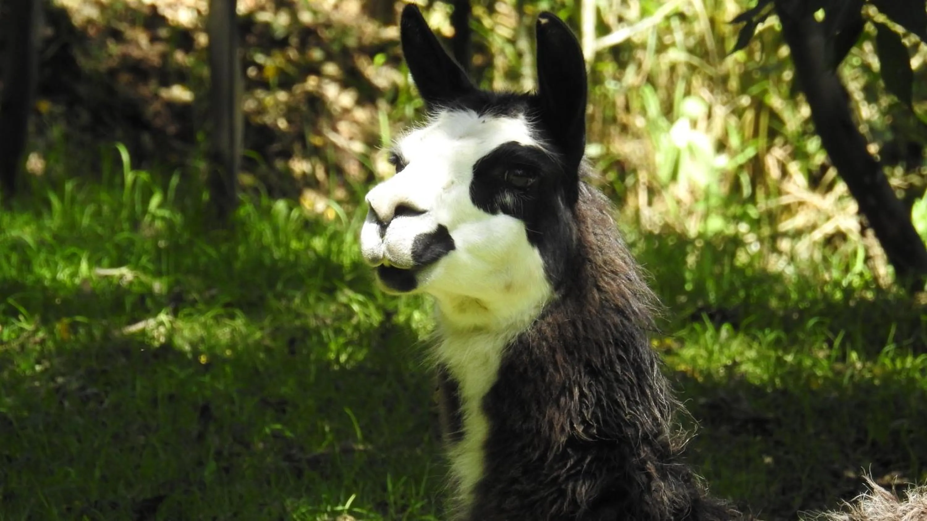 Natural landscape in Hacienda Jimenita Wildlife Reserve