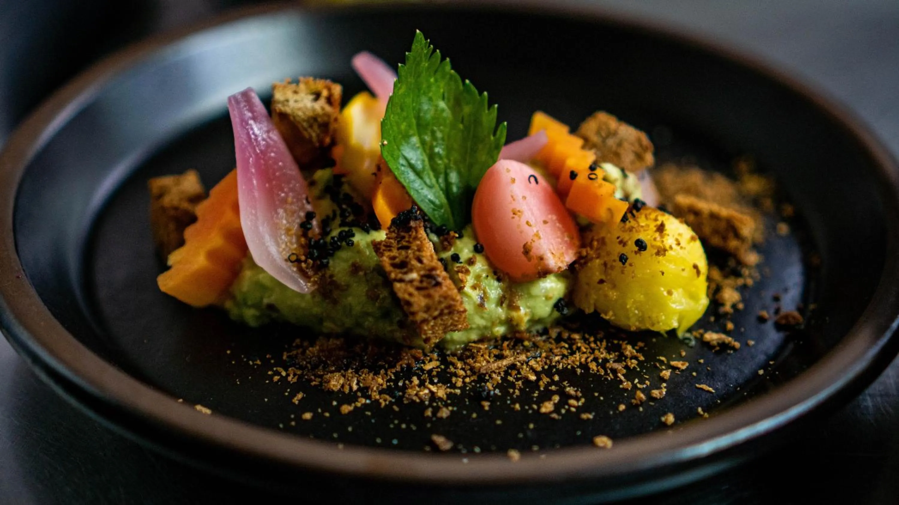 Food in Hacienda Jimenita Wildlife Reserve