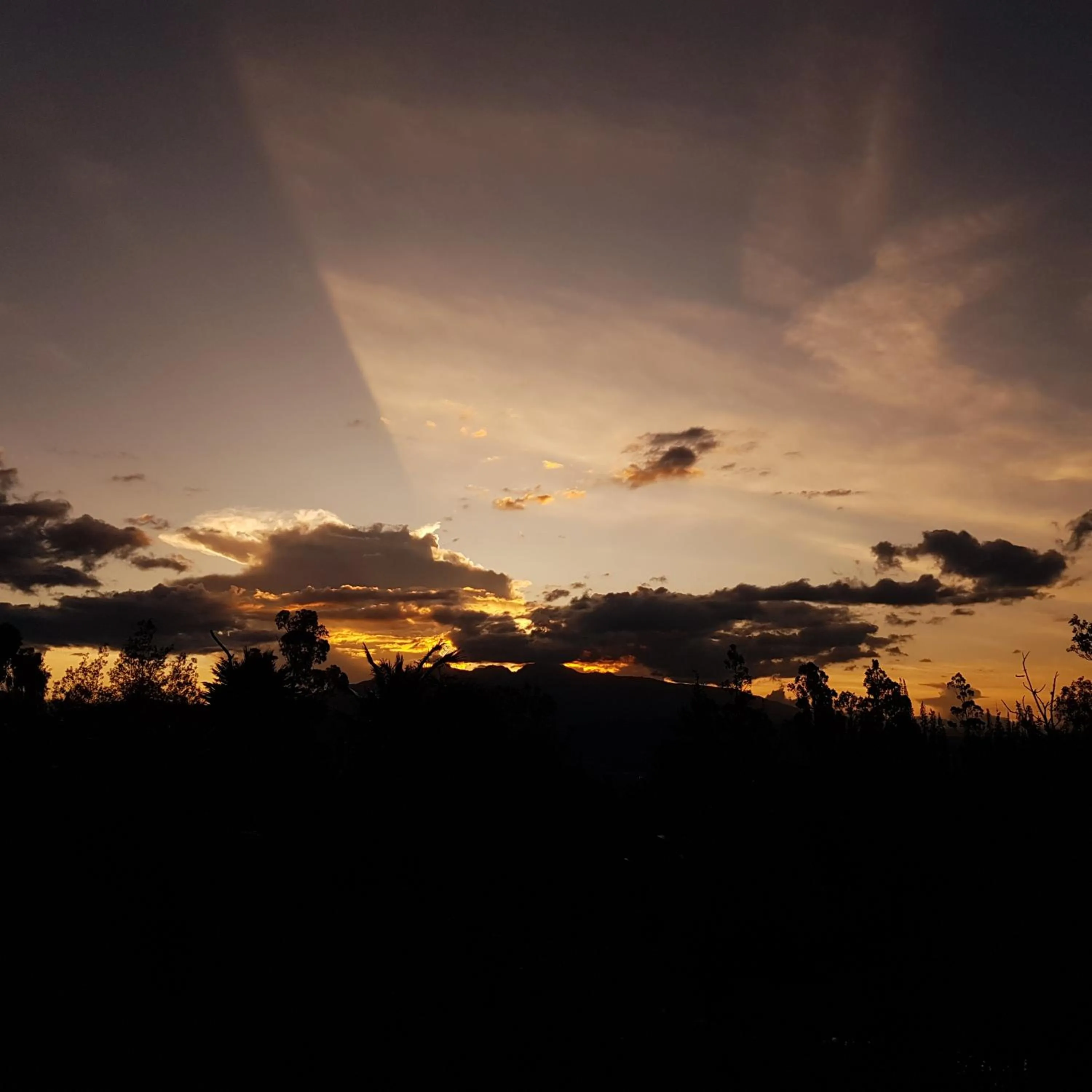 Natural landscape in Hacienda Jimenita Wildlife Reserve
