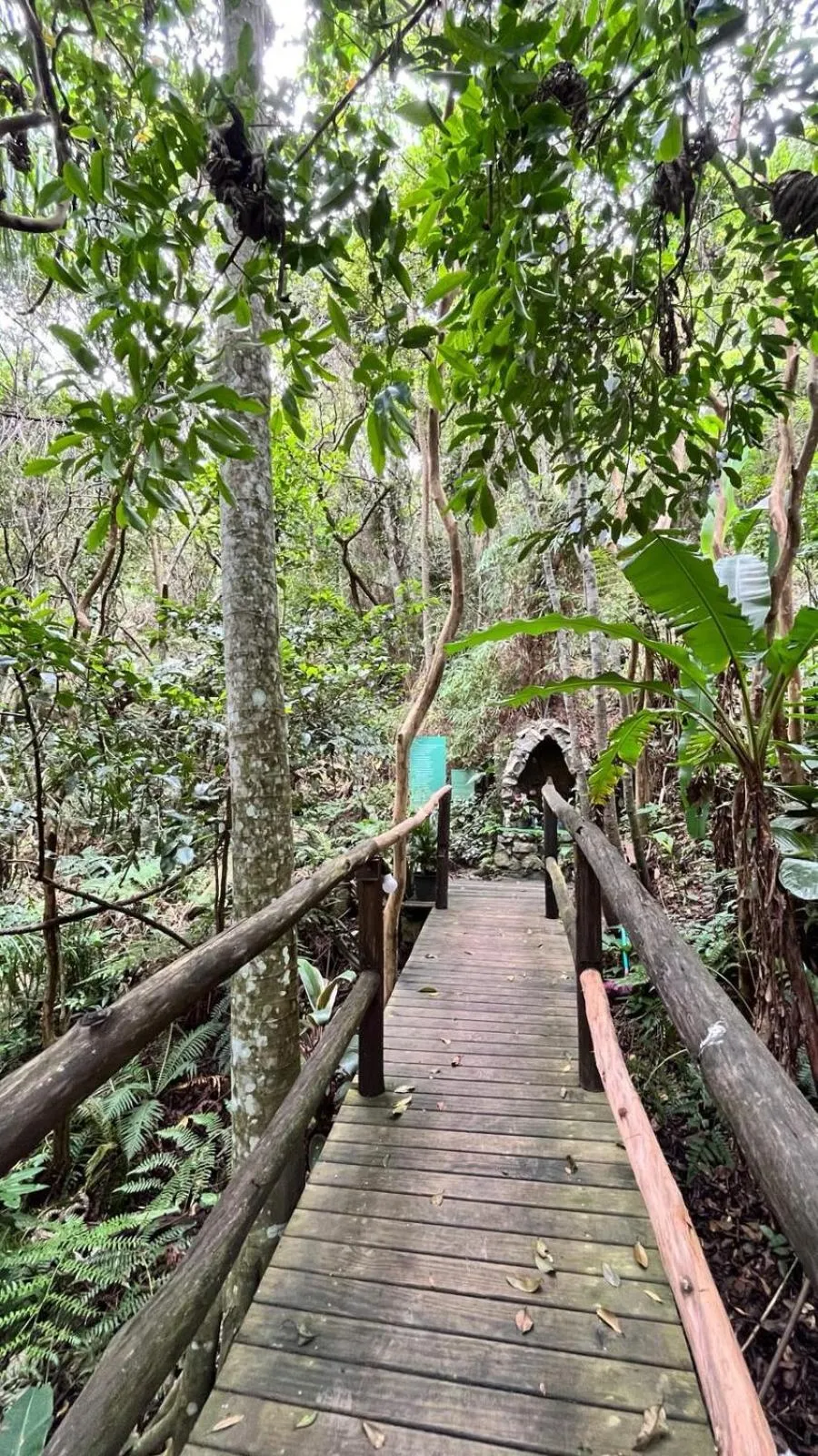 Natural landscape in Pousada Dona Francisca