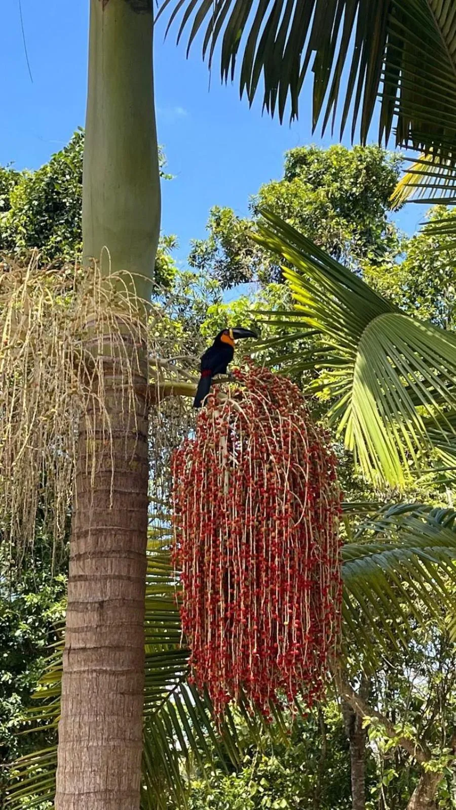 Day in Pousada Dona Francisca