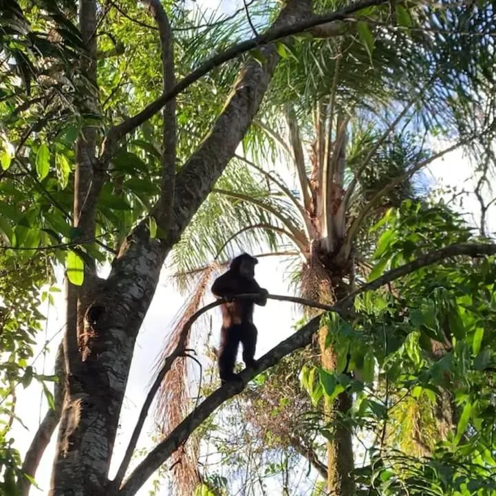 Natural landscape in Pousada Dona Francisca