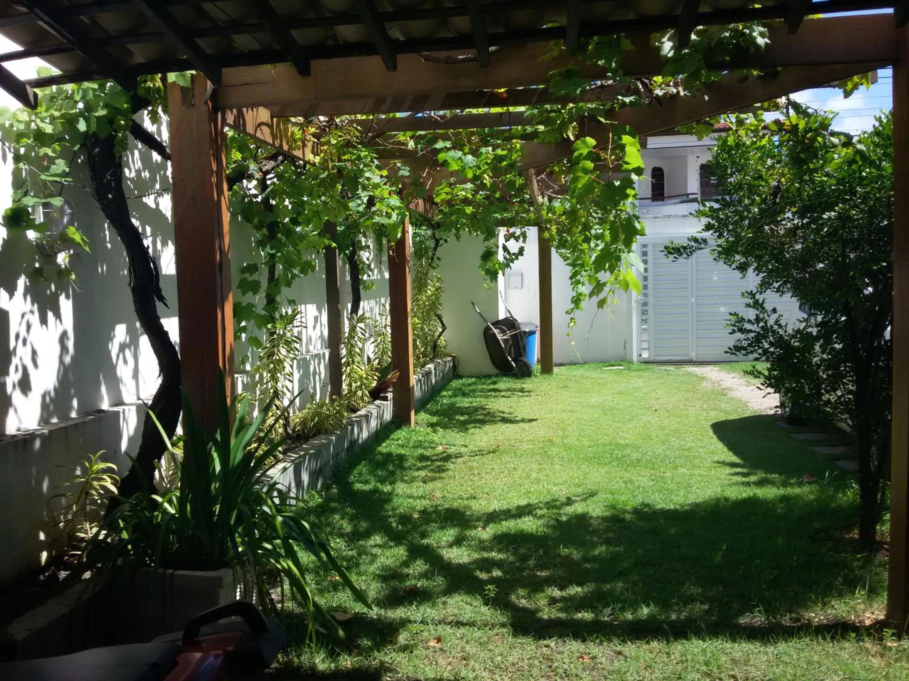 Garden in Luz & Mar
