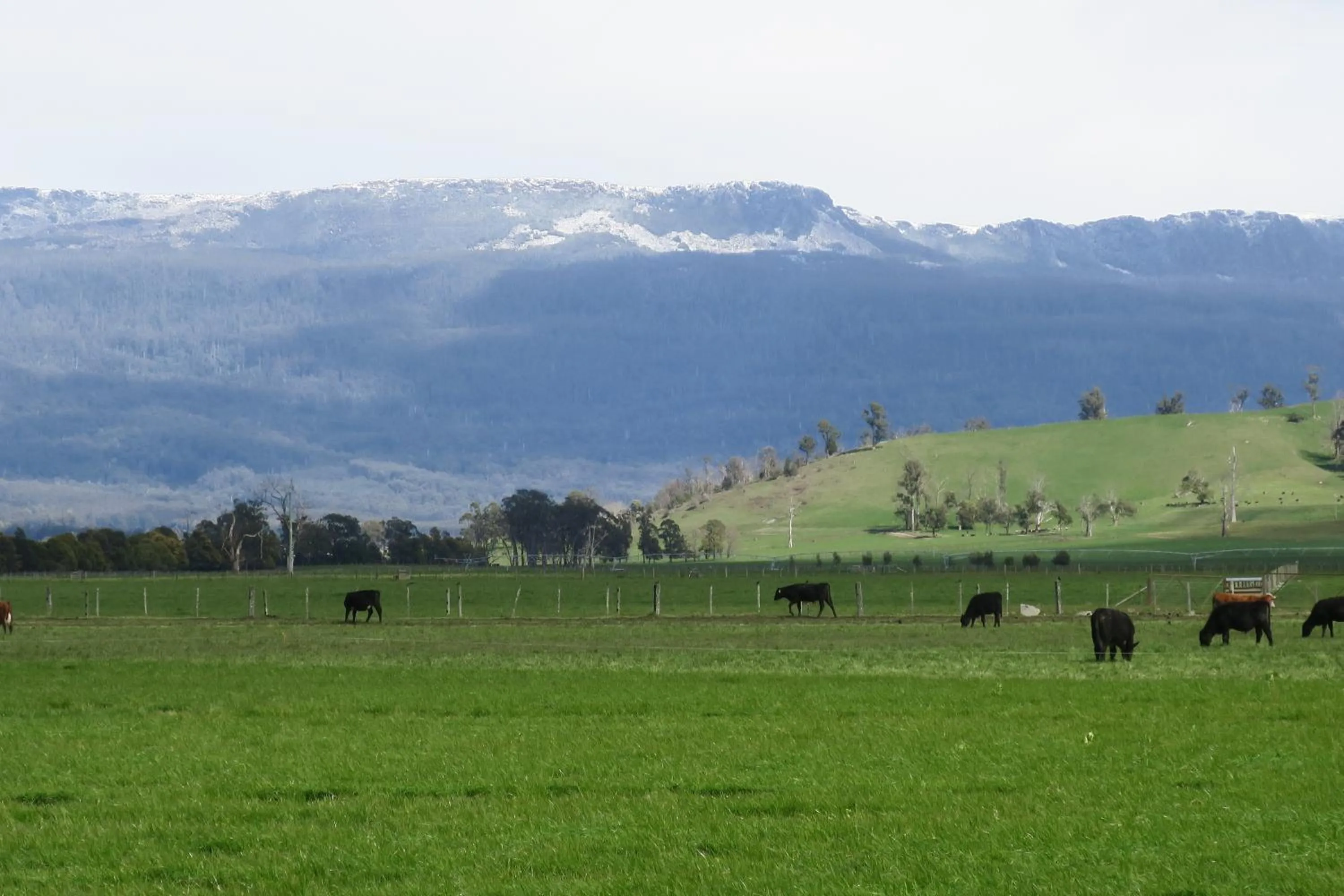 Natural landscape in Blakes Manor Self Contained Heritage Accommodation