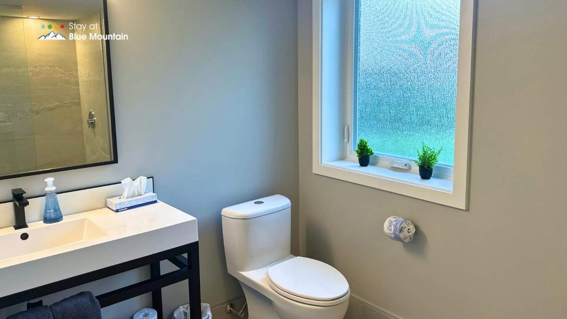 Bathroom in Orchard Run Chalet