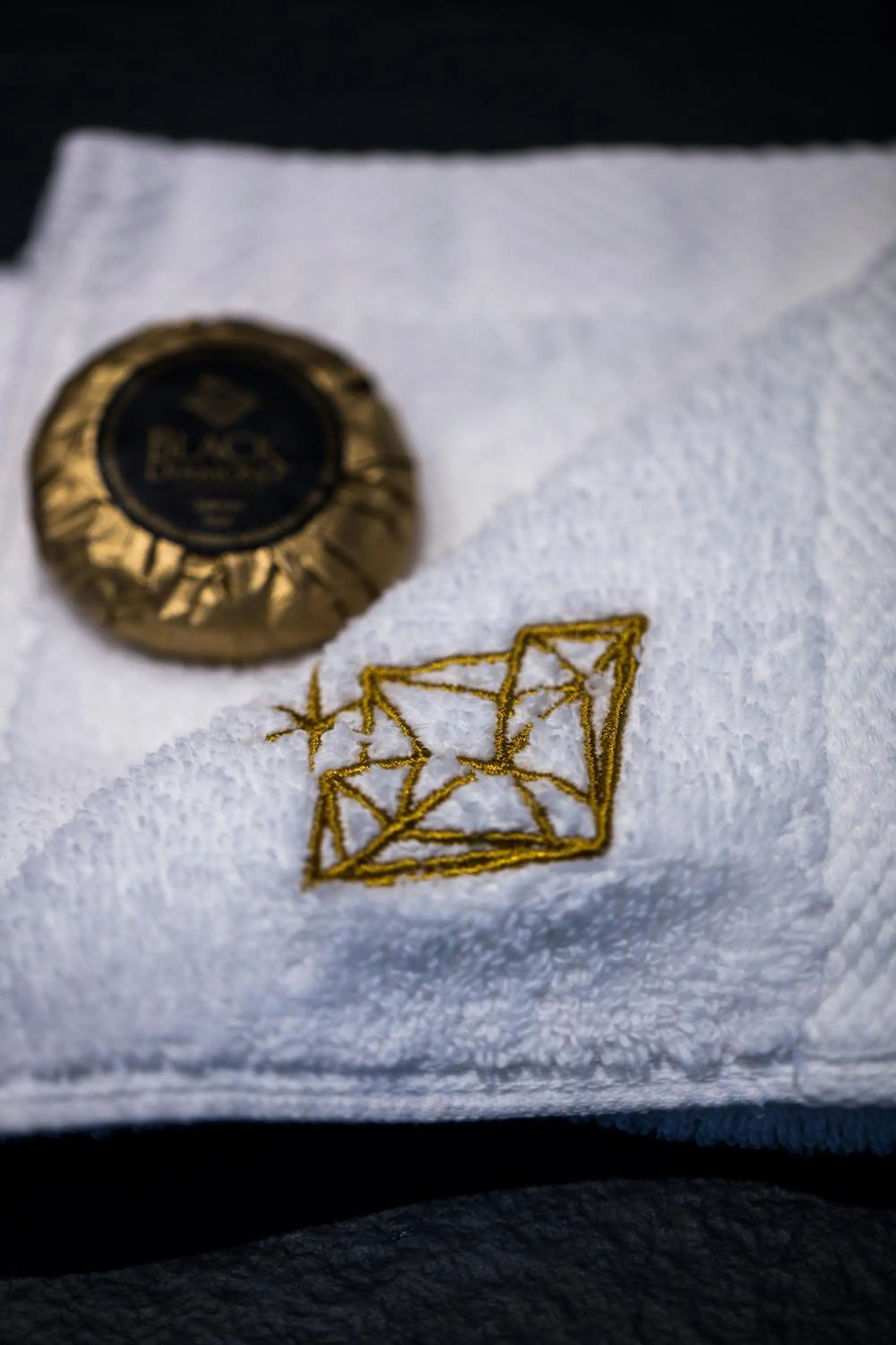 Hôtel L'Incomparable & Restaurant Etoilé Aix-Les-Bains