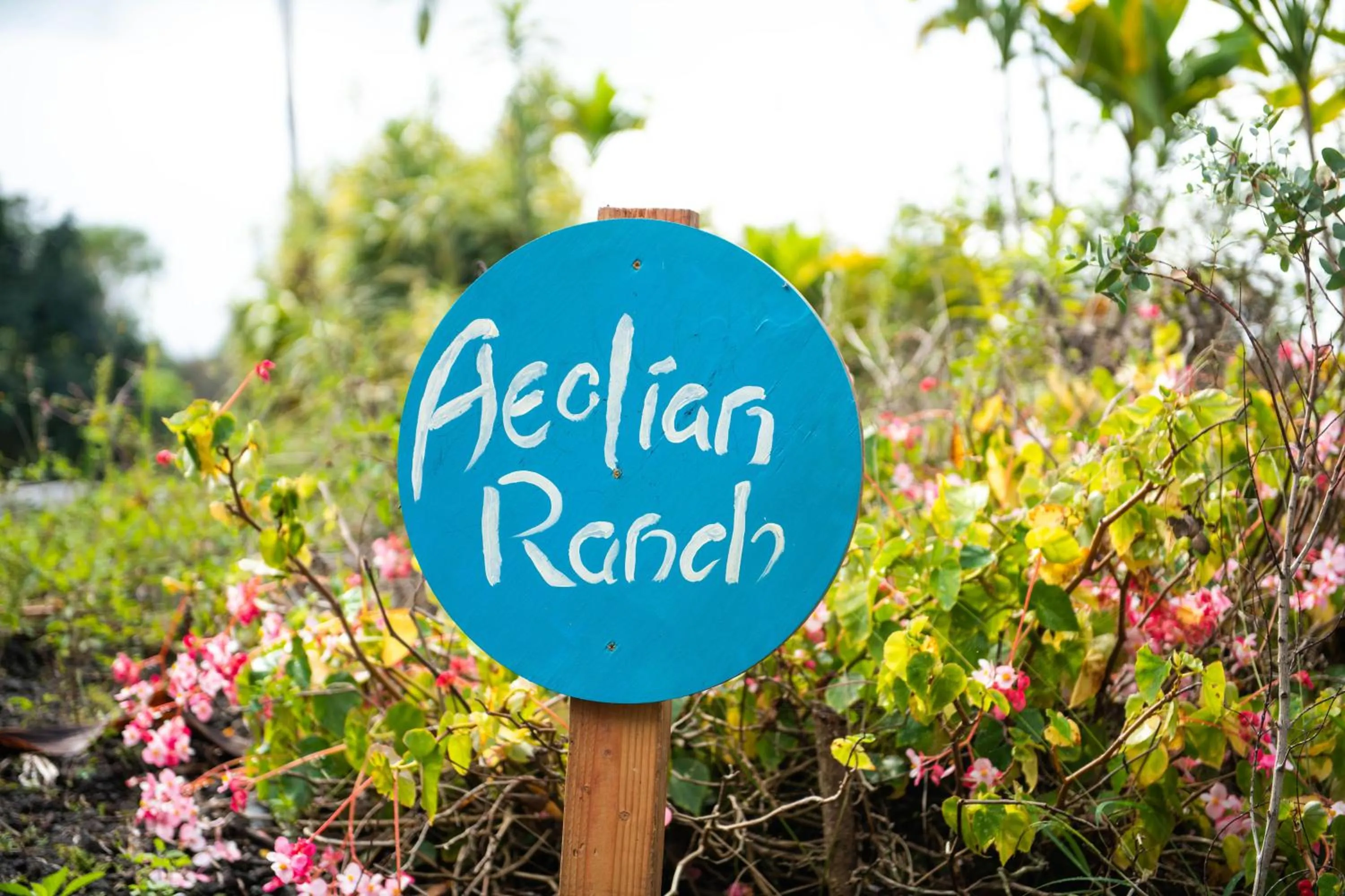 Aeolian Ranch Guest house