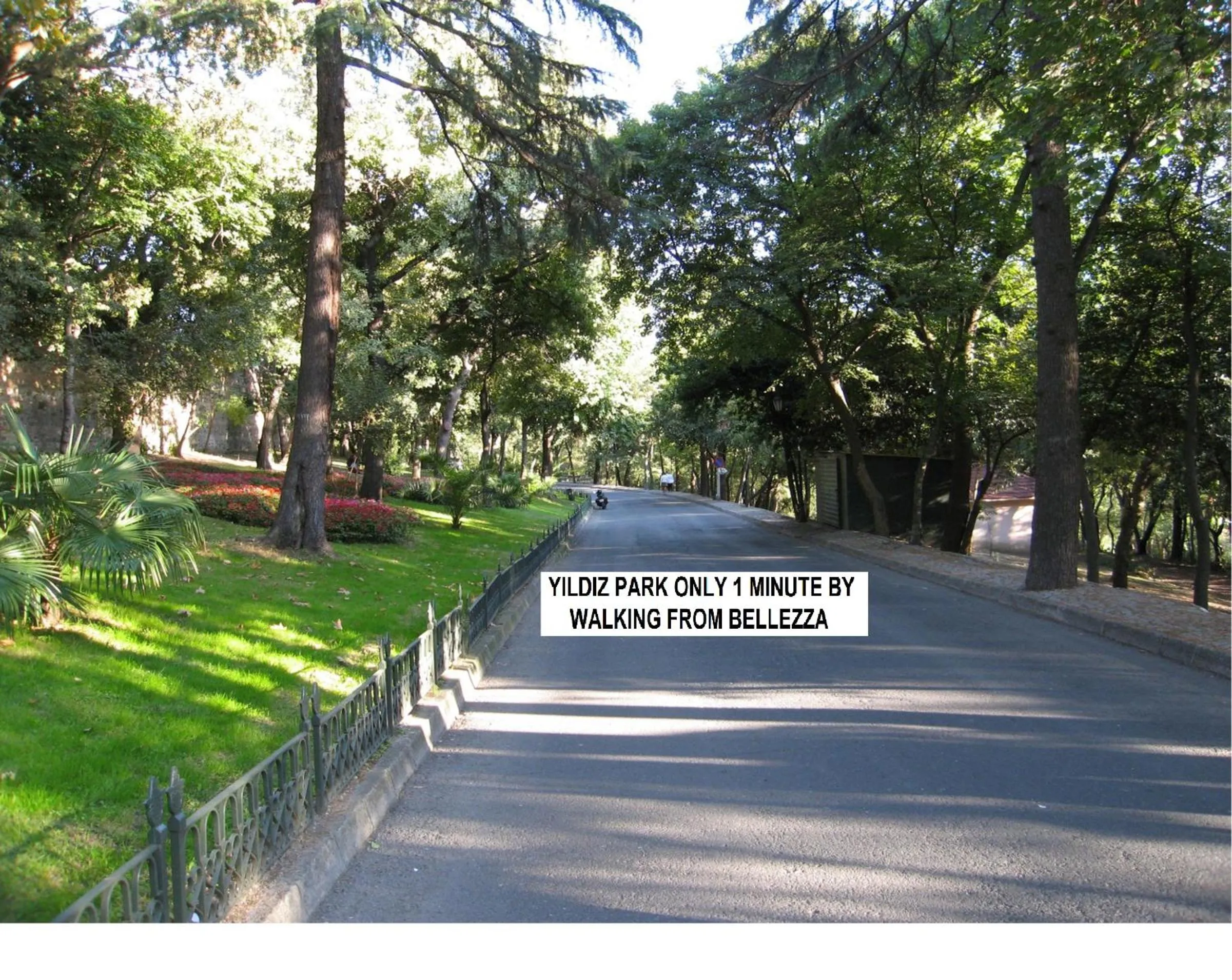 Area and facilities in Bellezza Hotel Ortakoy