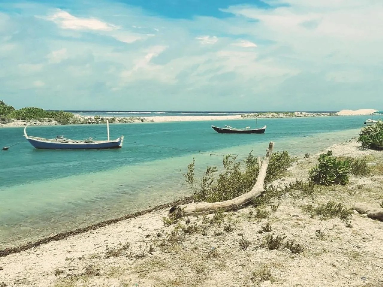 Beach in Charming Holiday Lodge