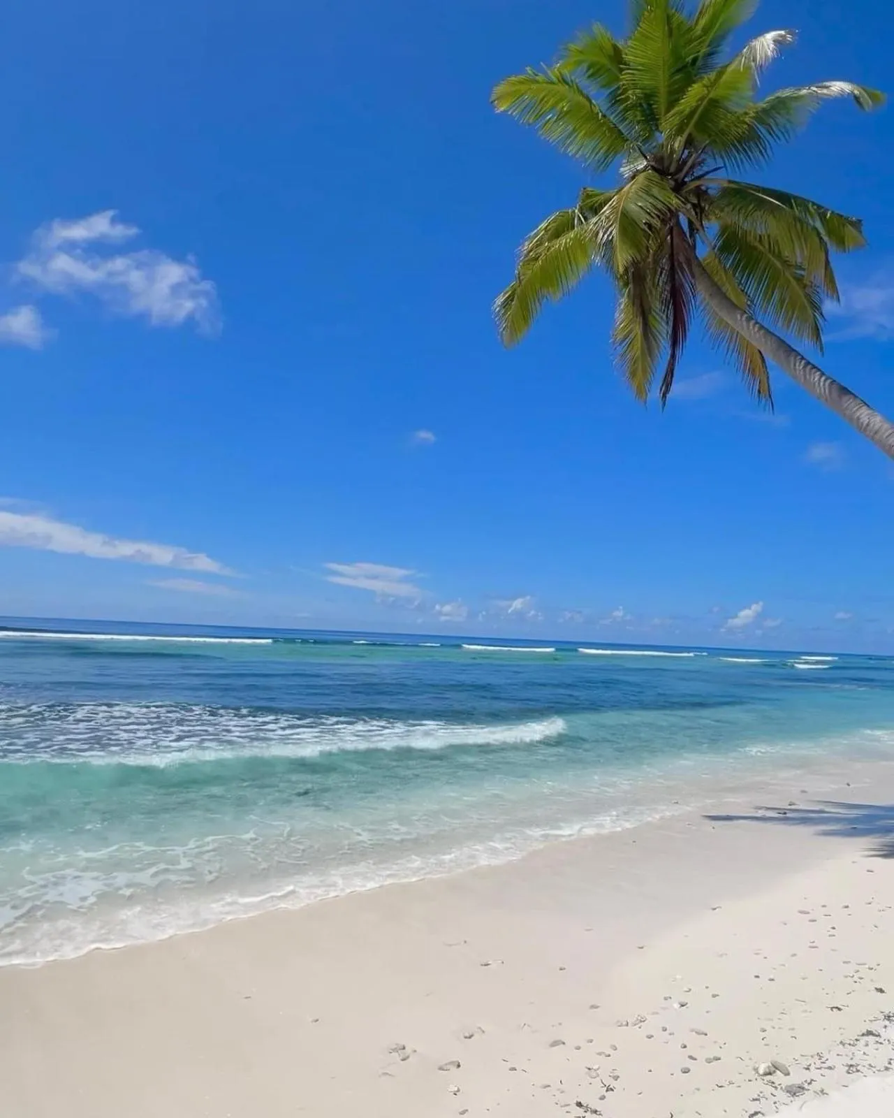 Charming Holiday Lodge