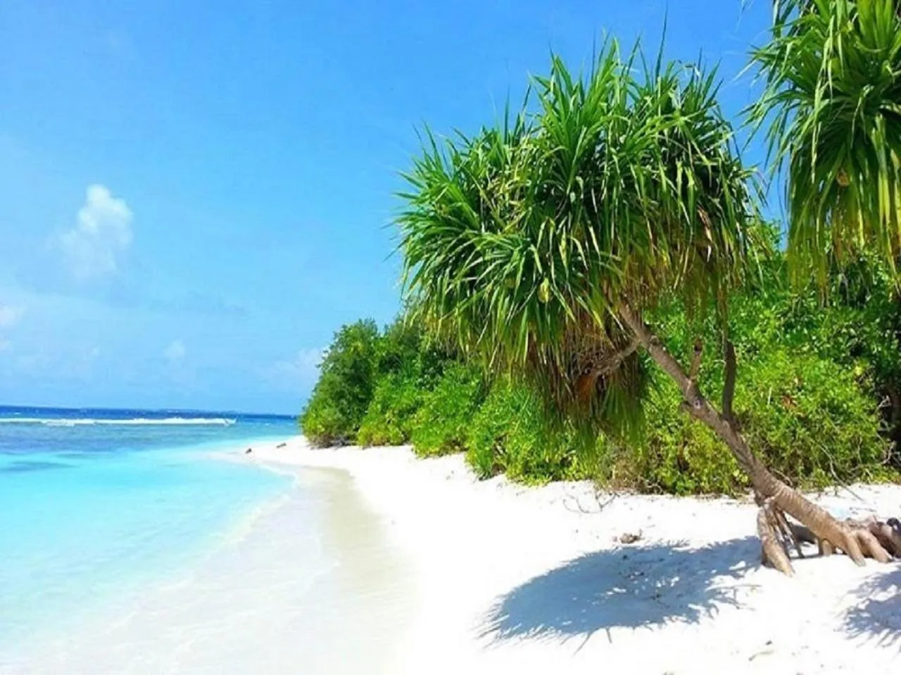 Beach in Charming Holiday Lodge