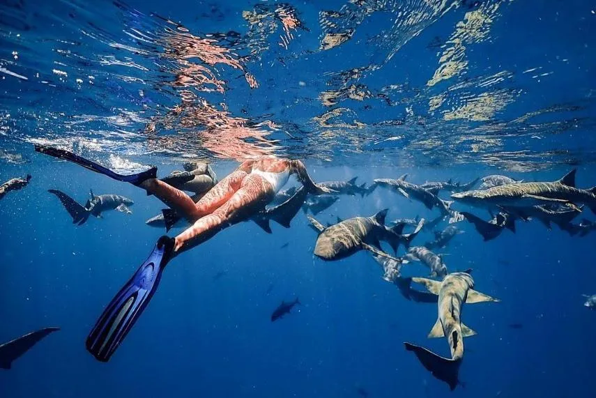 Diving in Charming Holiday Lodge