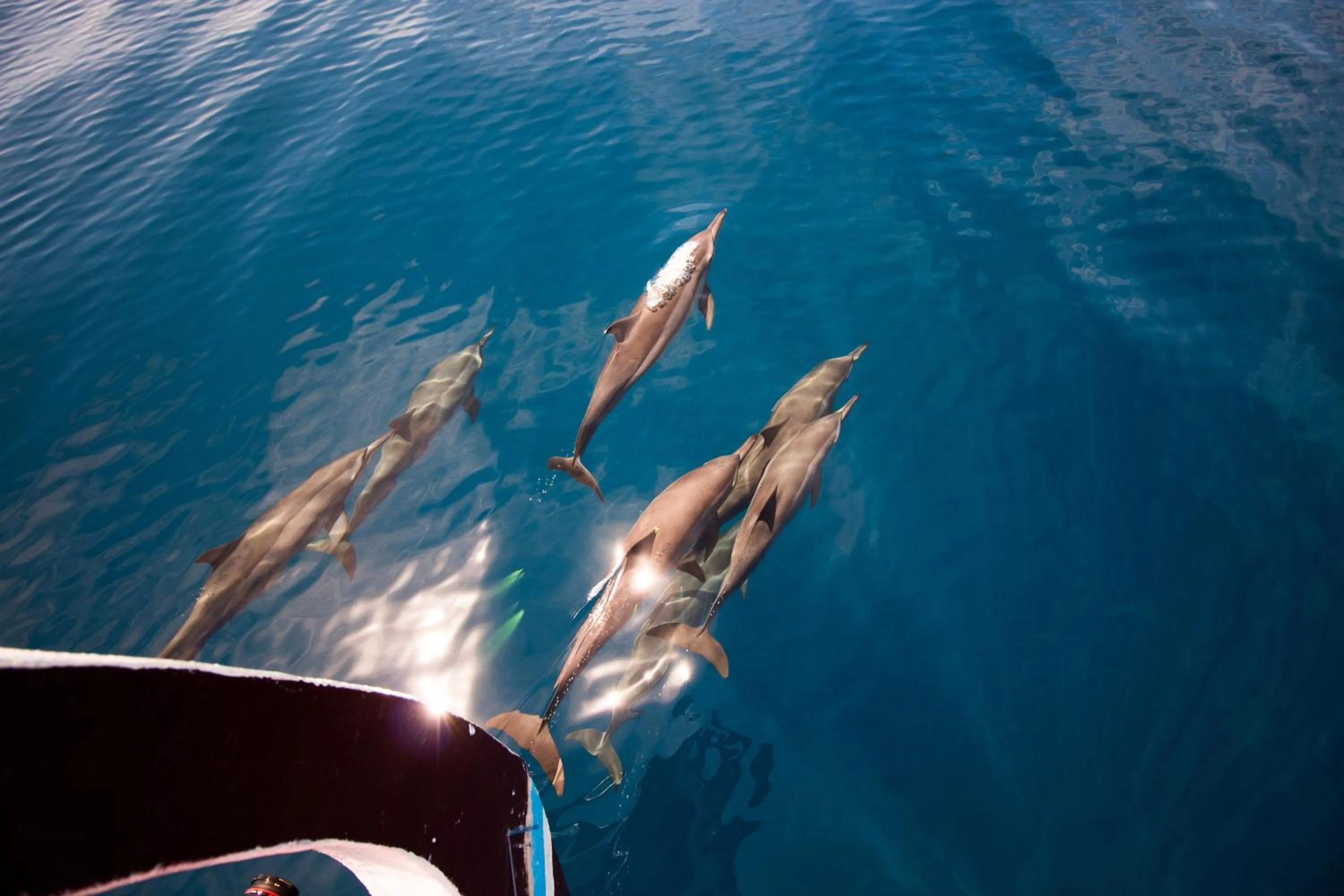 Off site in Charming Holiday Lodge