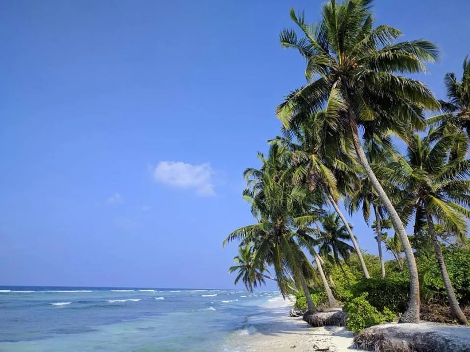 Beach in Charming Holiday Lodge