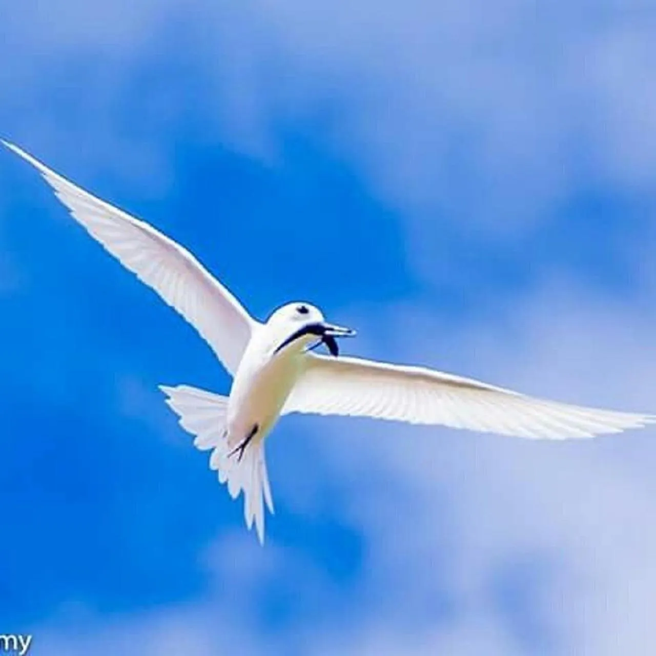 Other in Charming Holiday Lodge