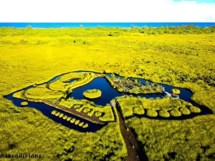 Natural landscape in Charming Holiday Lodge