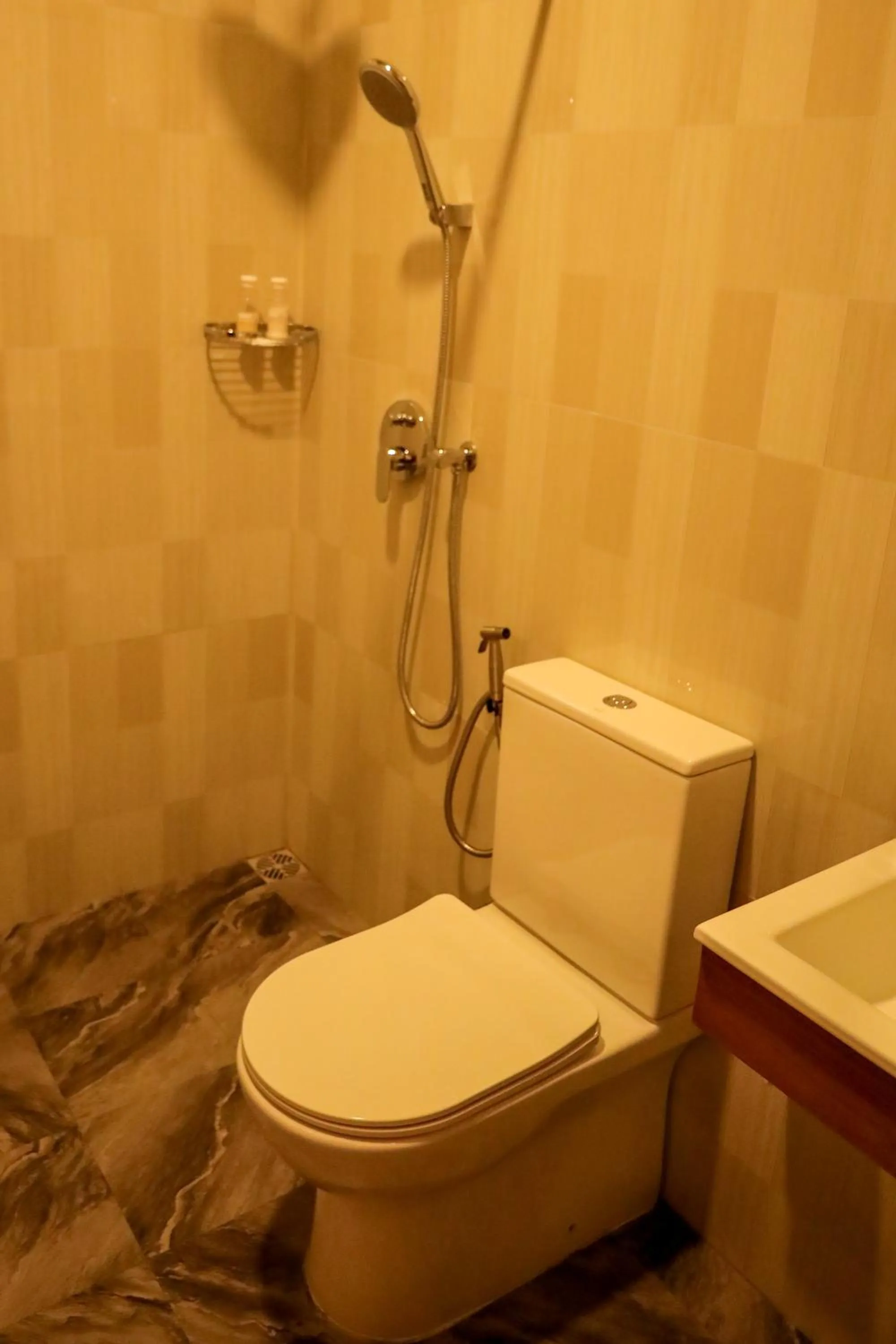 Charming Holiday Lodge