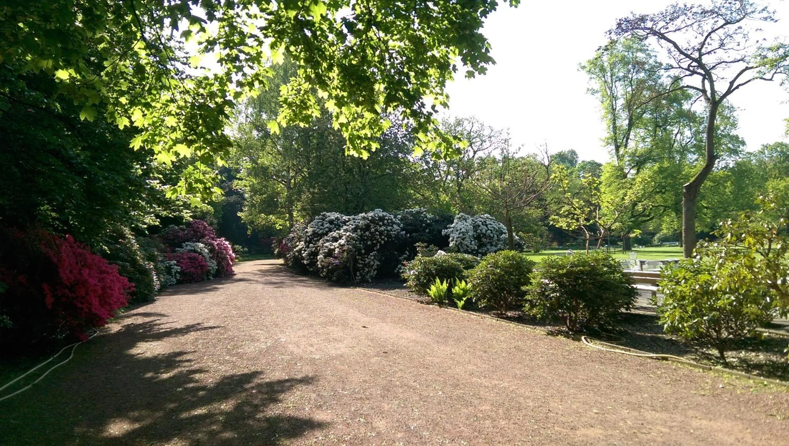 Garden in Congress Hotel am Stadtpark