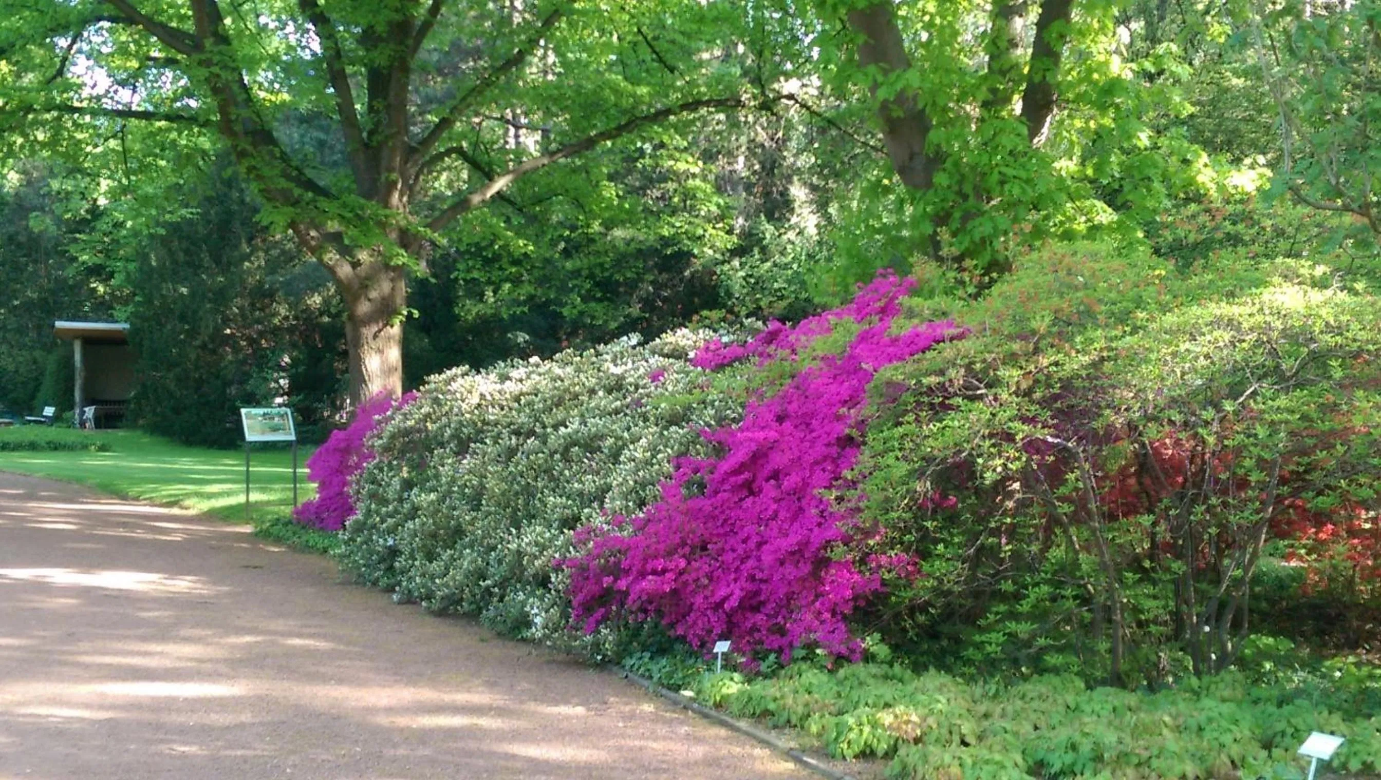 Garden in Congress Hotel am Stadtpark