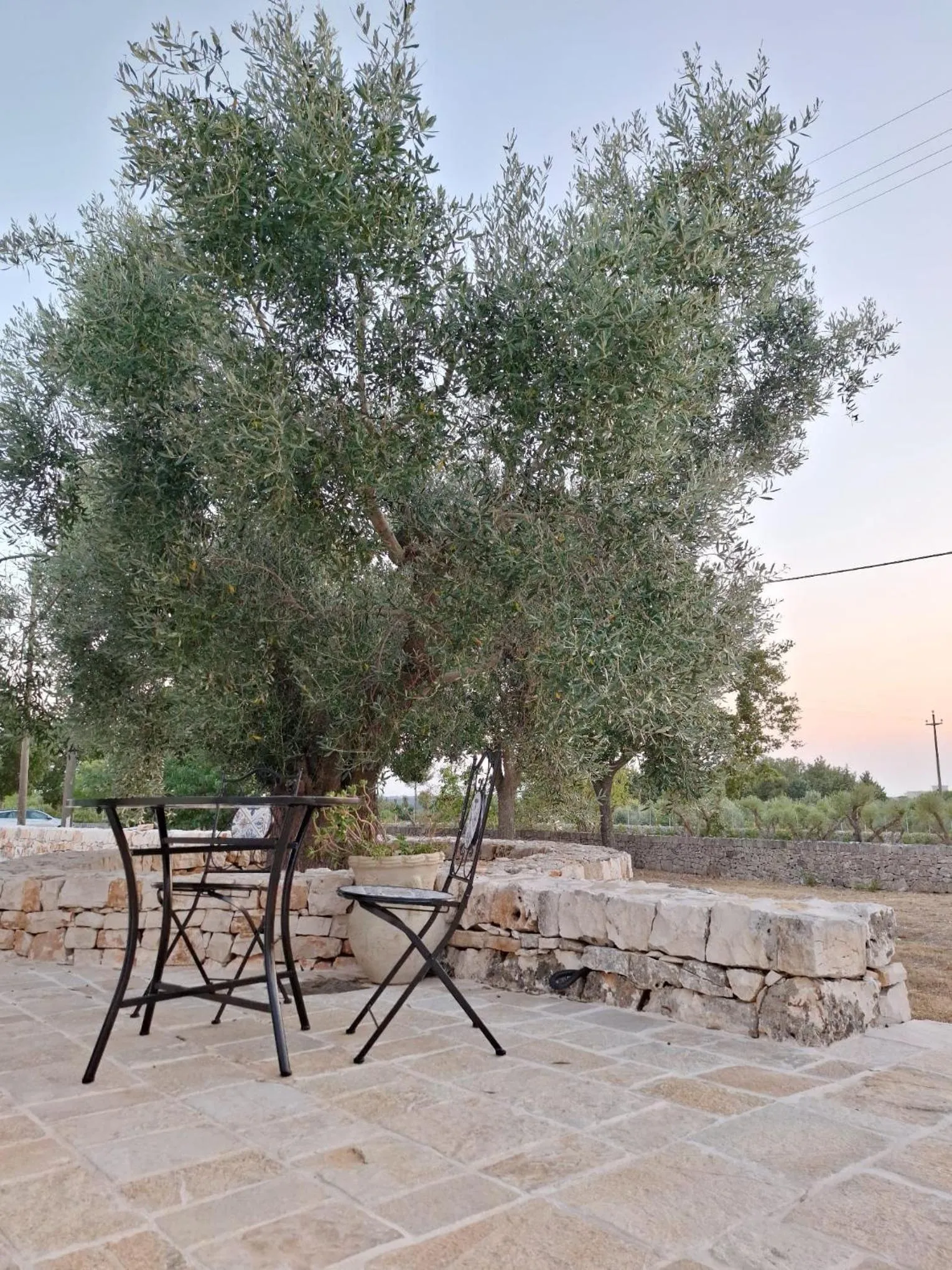 Garden in Resort Masseria Cecato