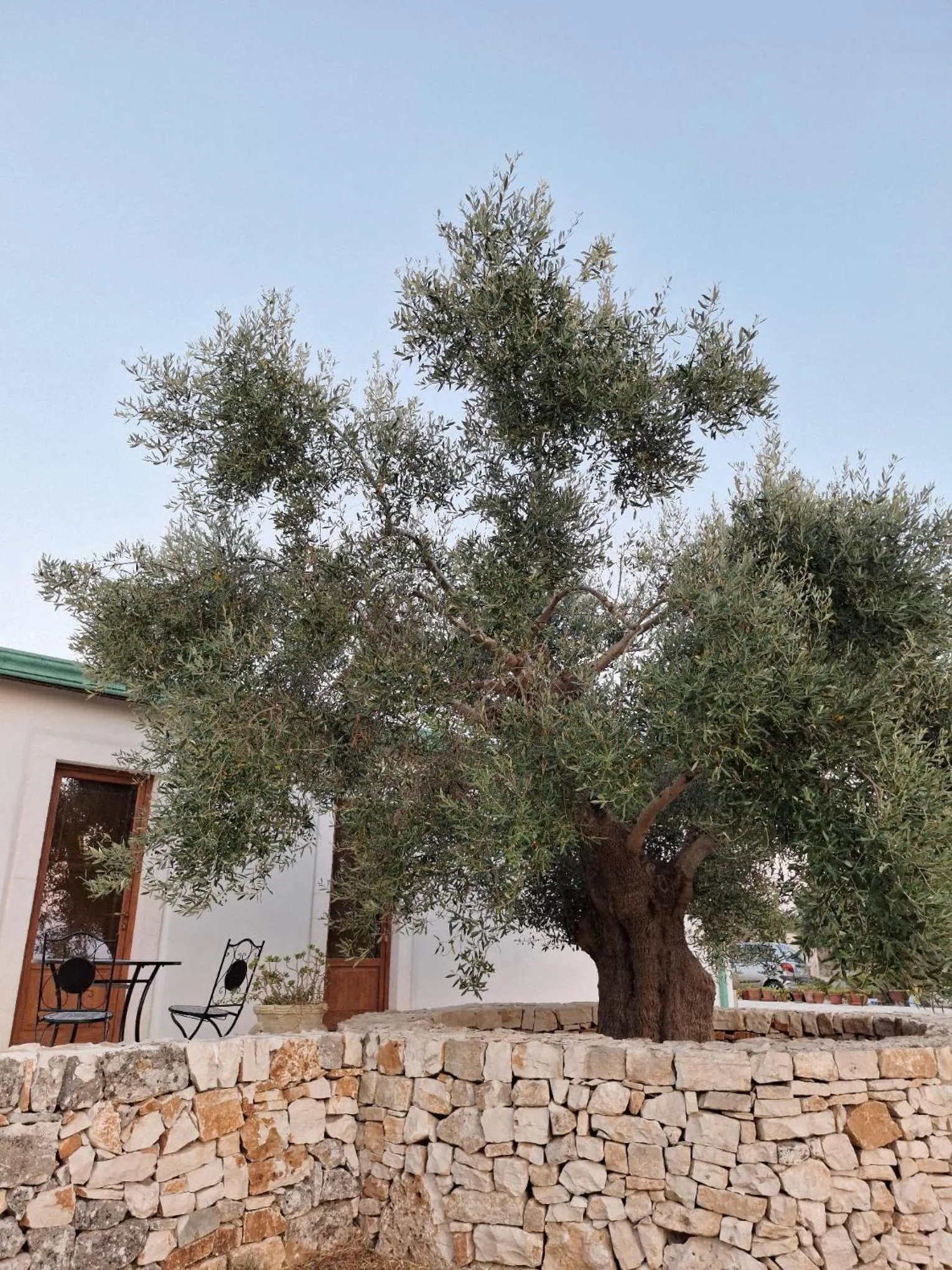 Day in Resort Masseria Cecato