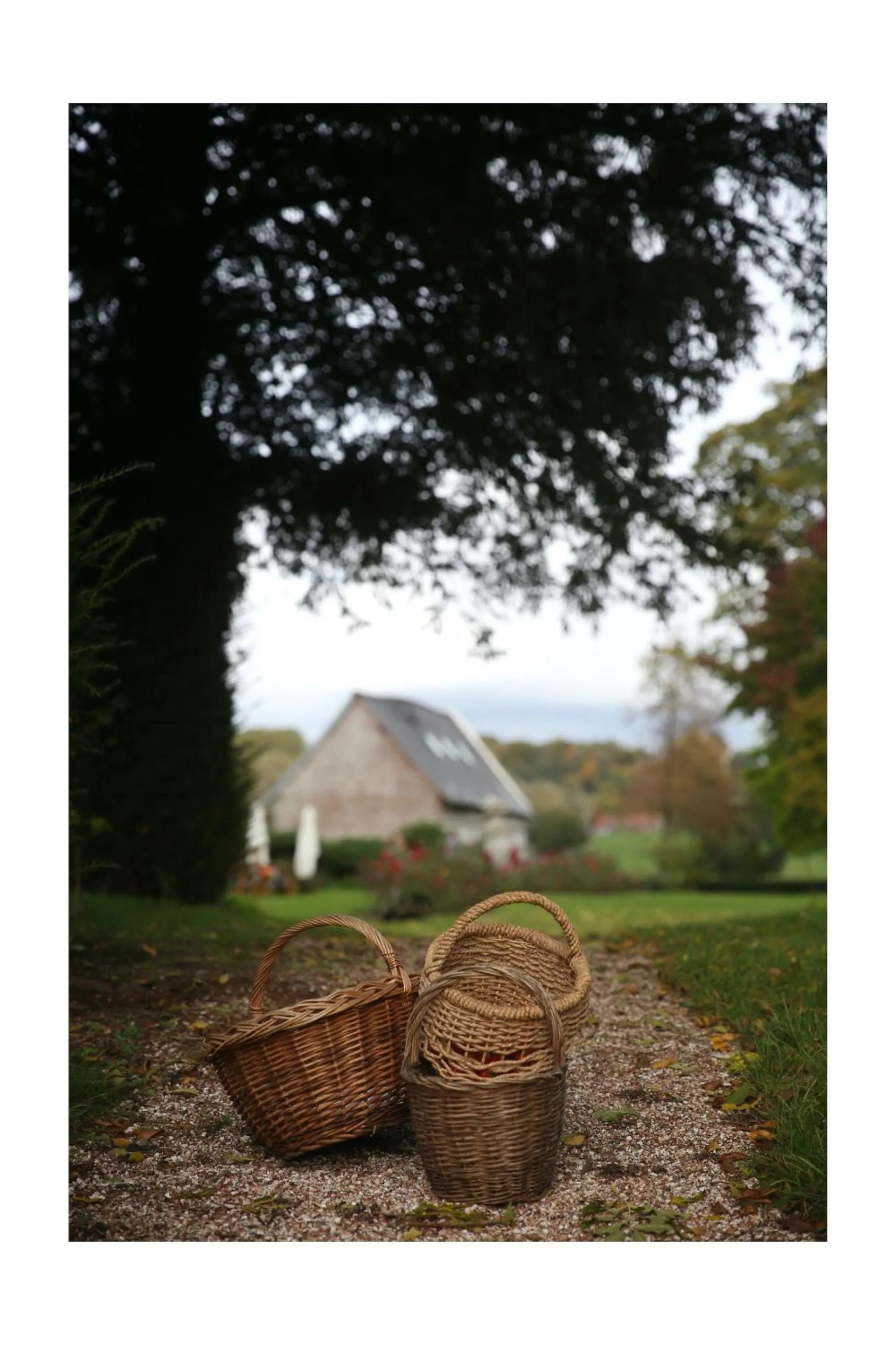 Garden in Château d'Harcelaines