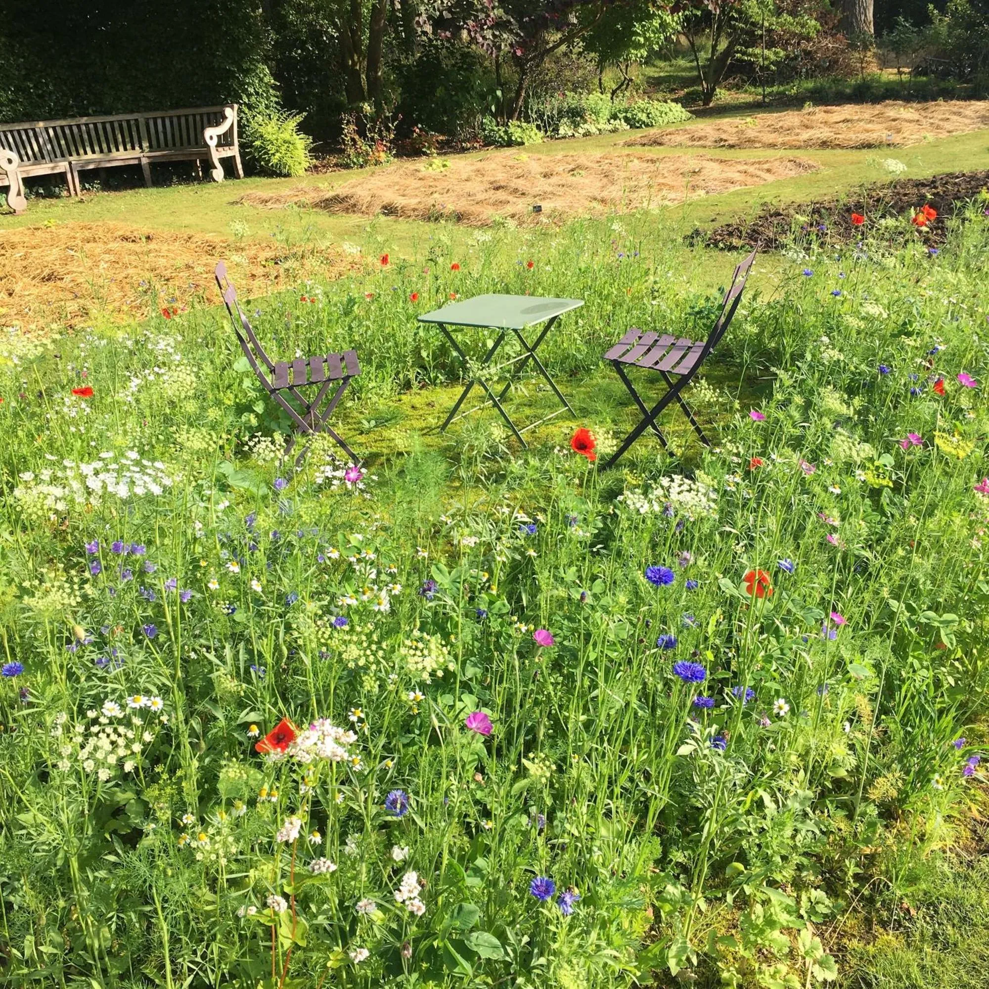 Garden in Château d'Harcelaines