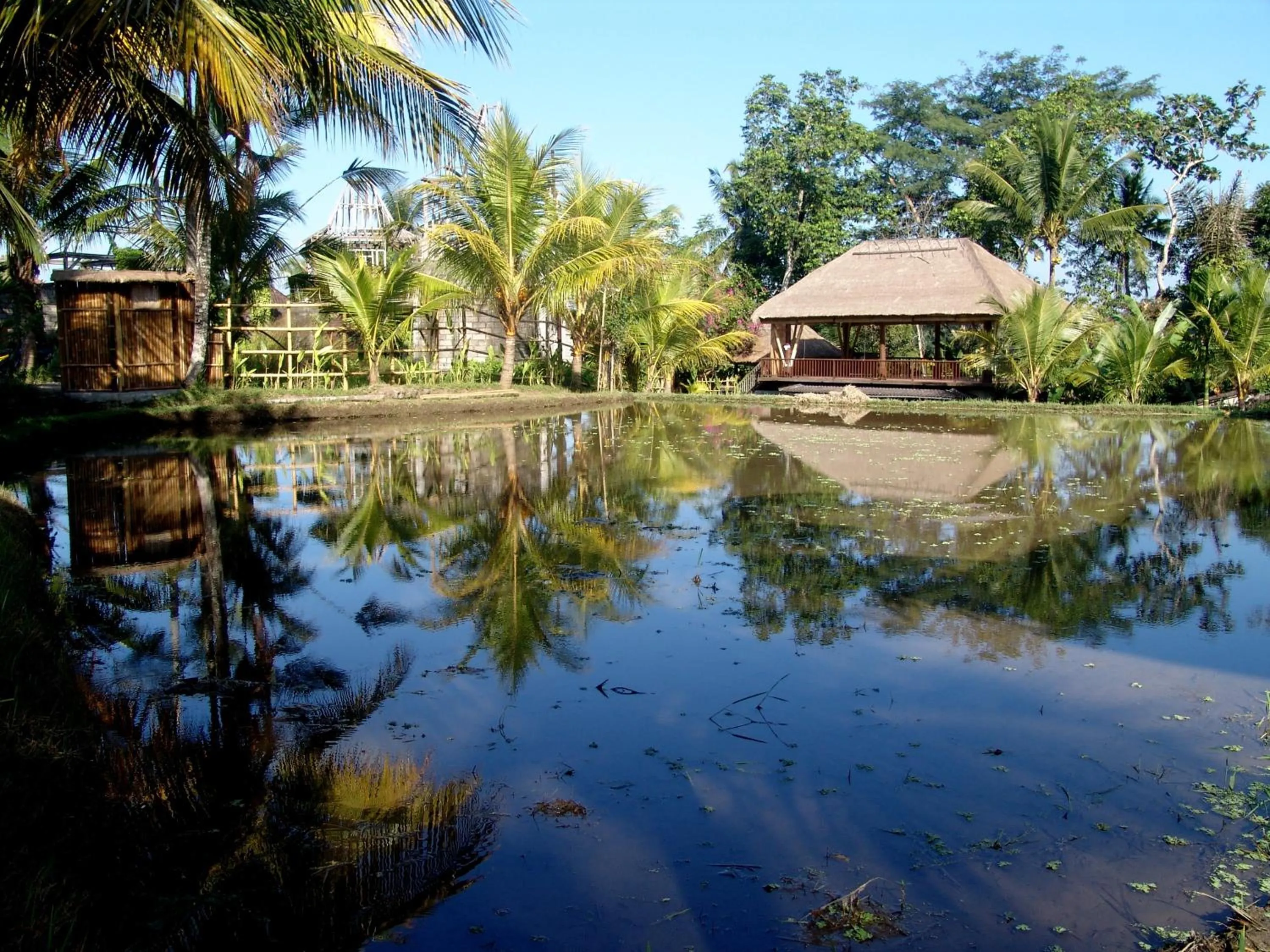 Property building in Prashanti Bali