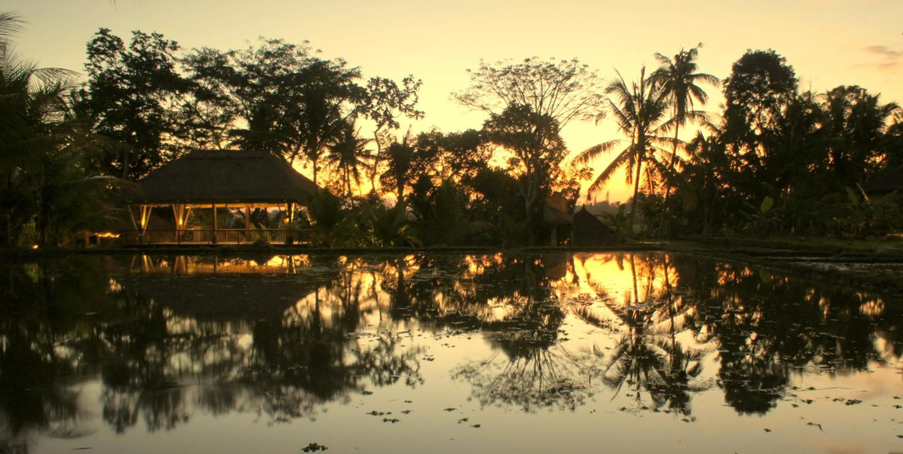 View (from property/room) in Prashanti Bali