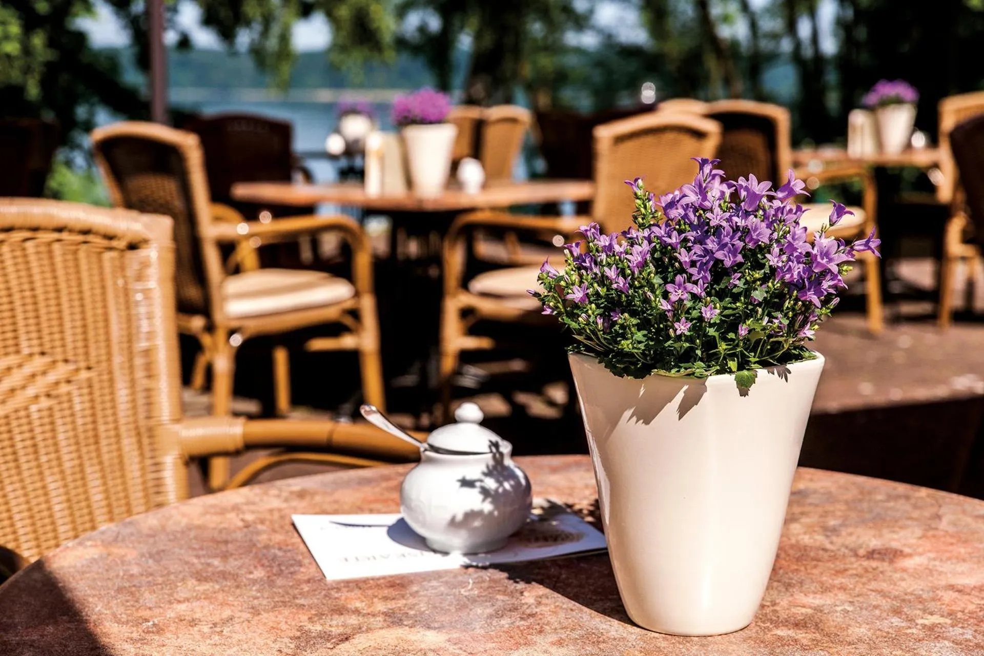 Restaurant/places to eat in Seehotel Heidehof