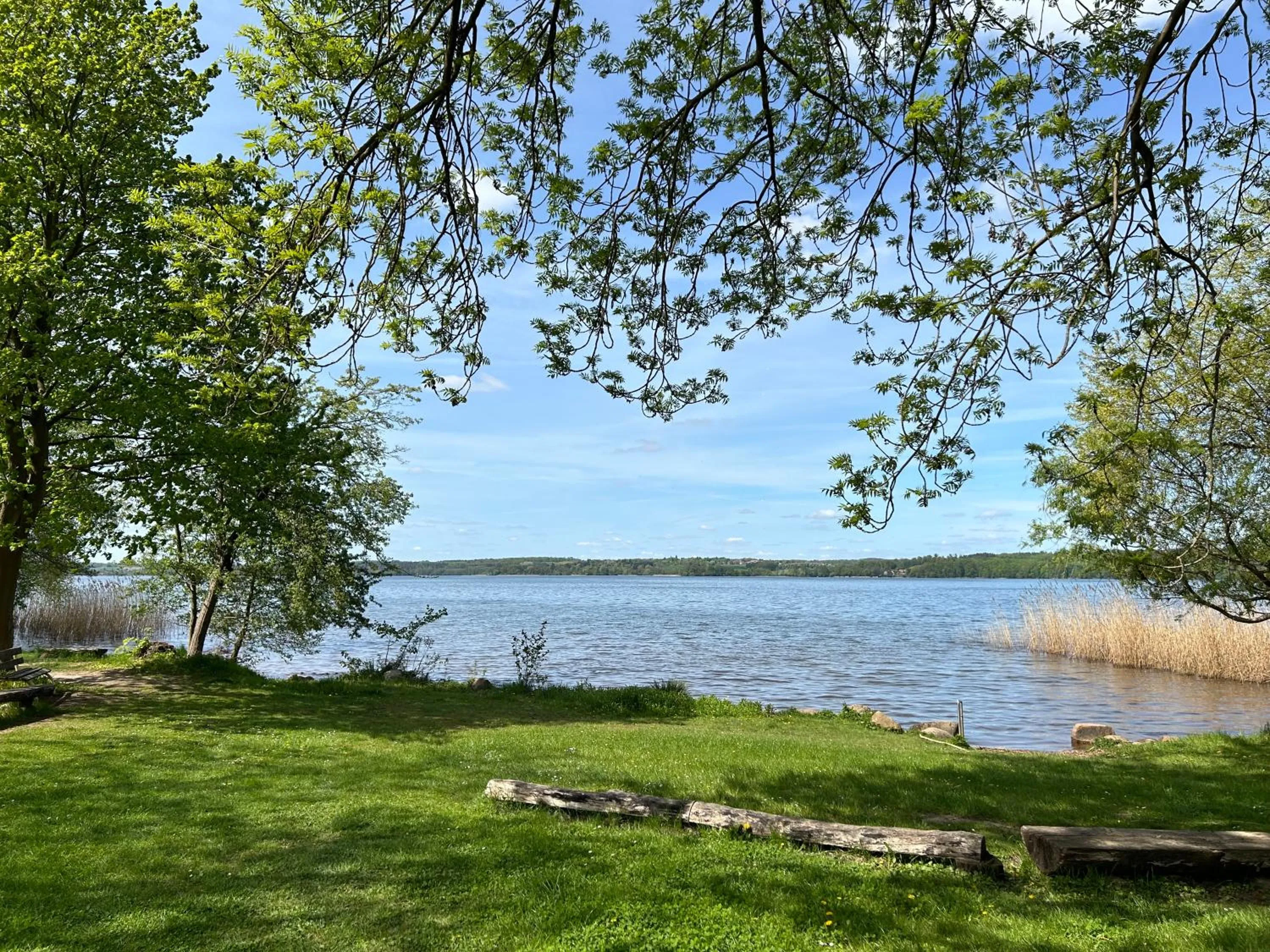 Beach in Seehotel Heidehof