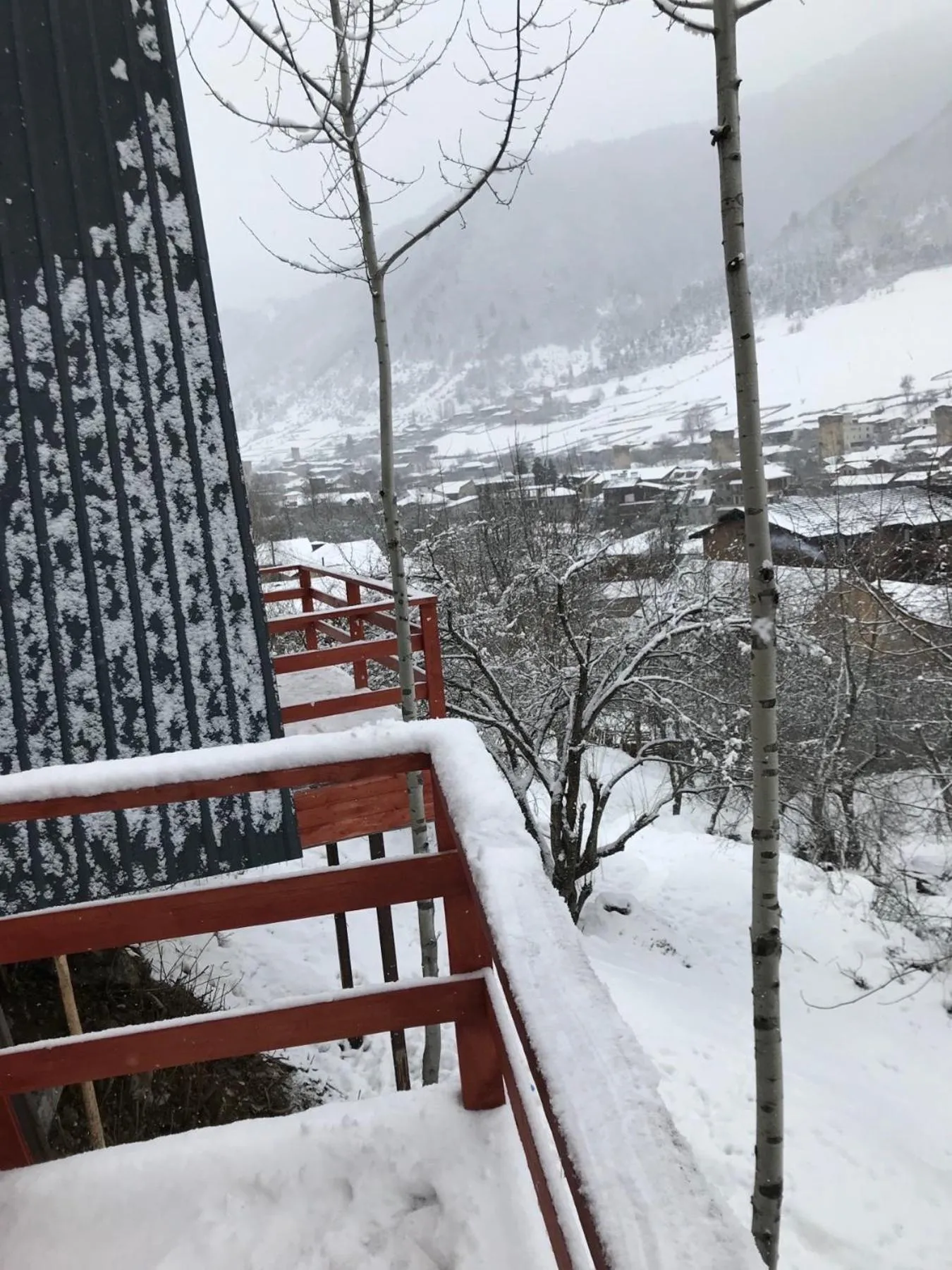 Winter in Paradiso Mestia