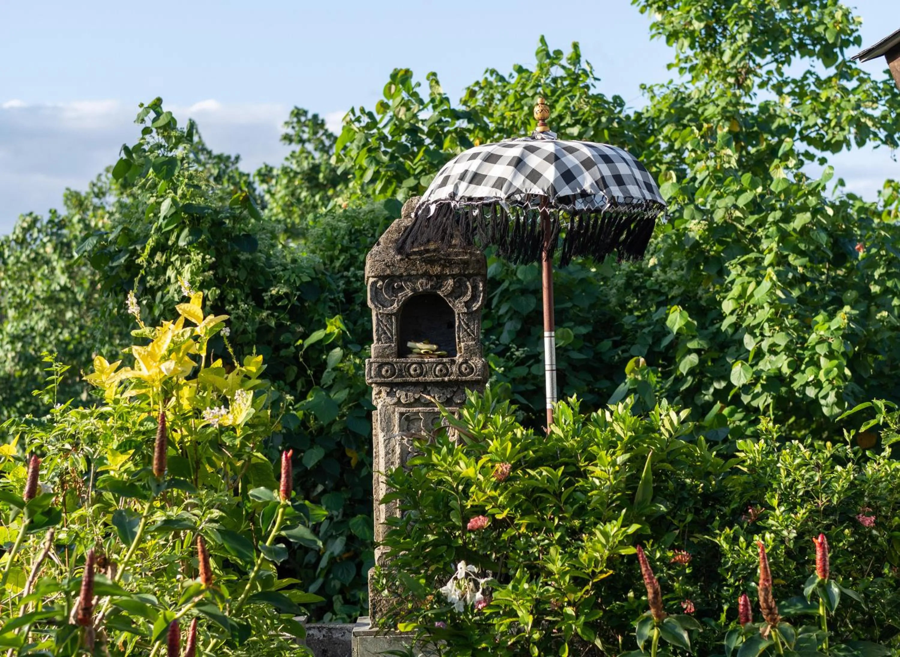 Natural landscape in MASMARA Resort Canggu