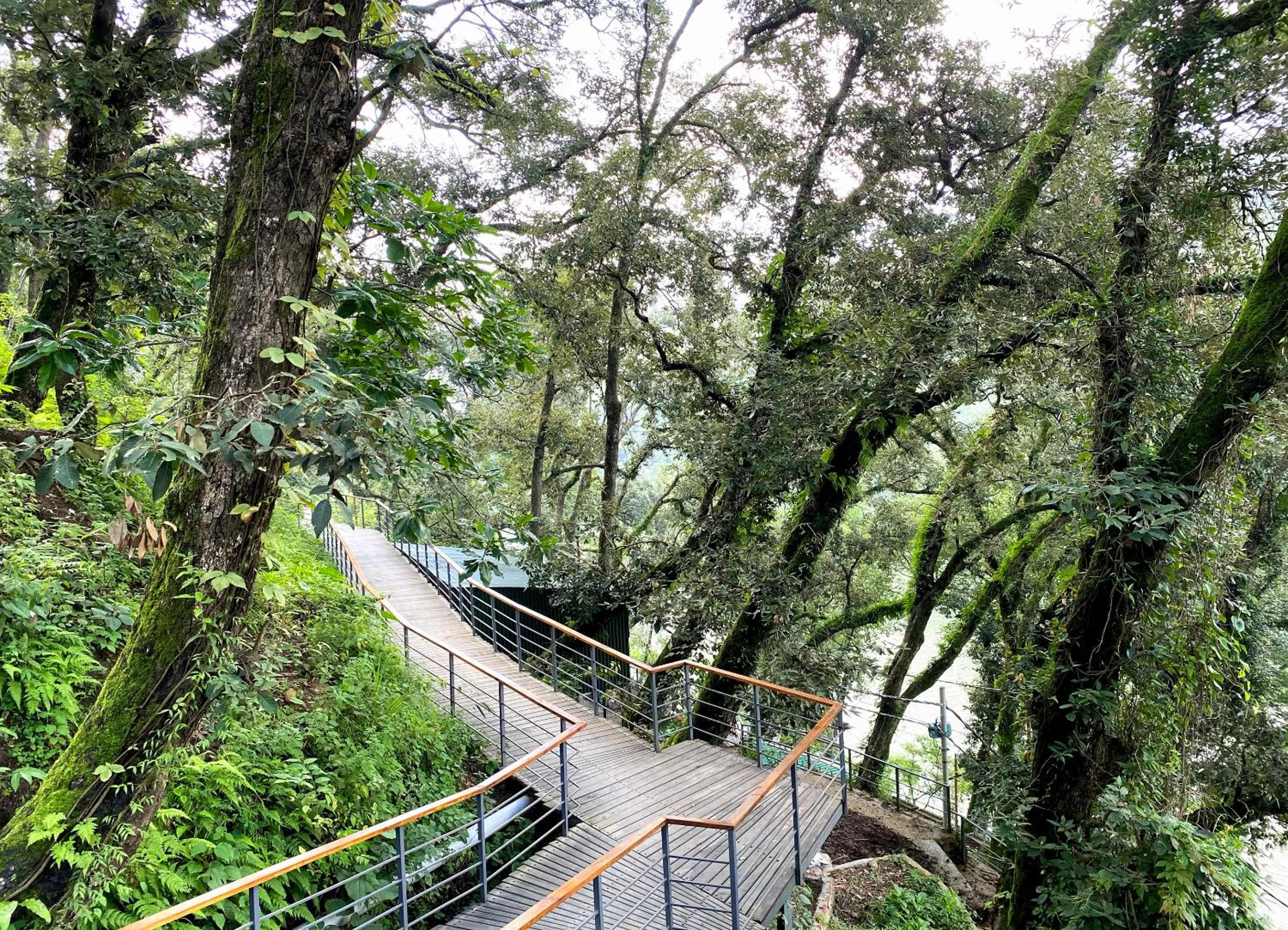 Area and facilities in The Rosefinch Sarovar Portico