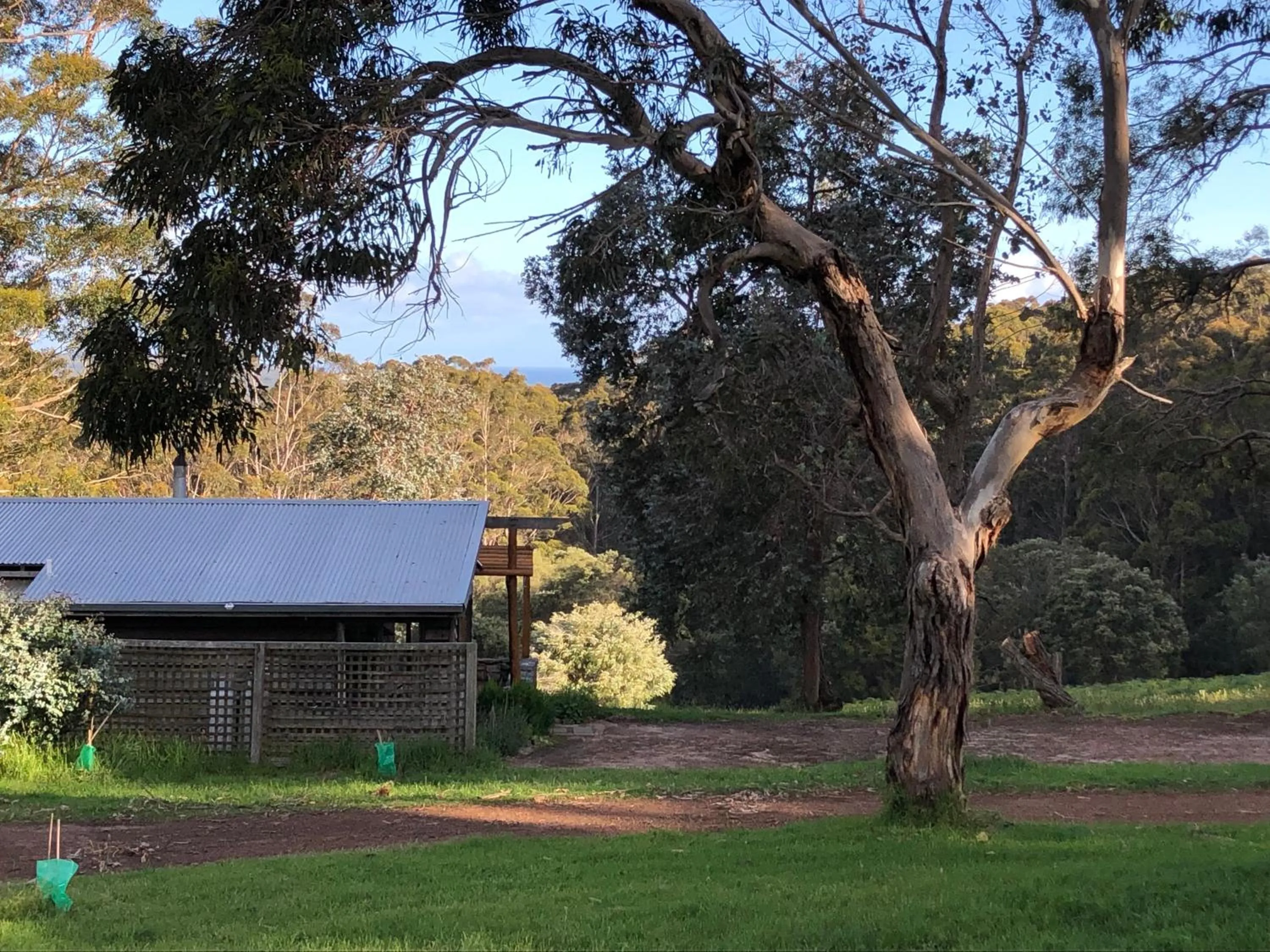 Turicum AT Monkey Rock Winery & Cider