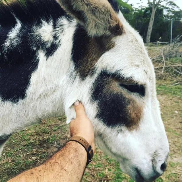 Turicum AT Monkey Rock Winery & Cider