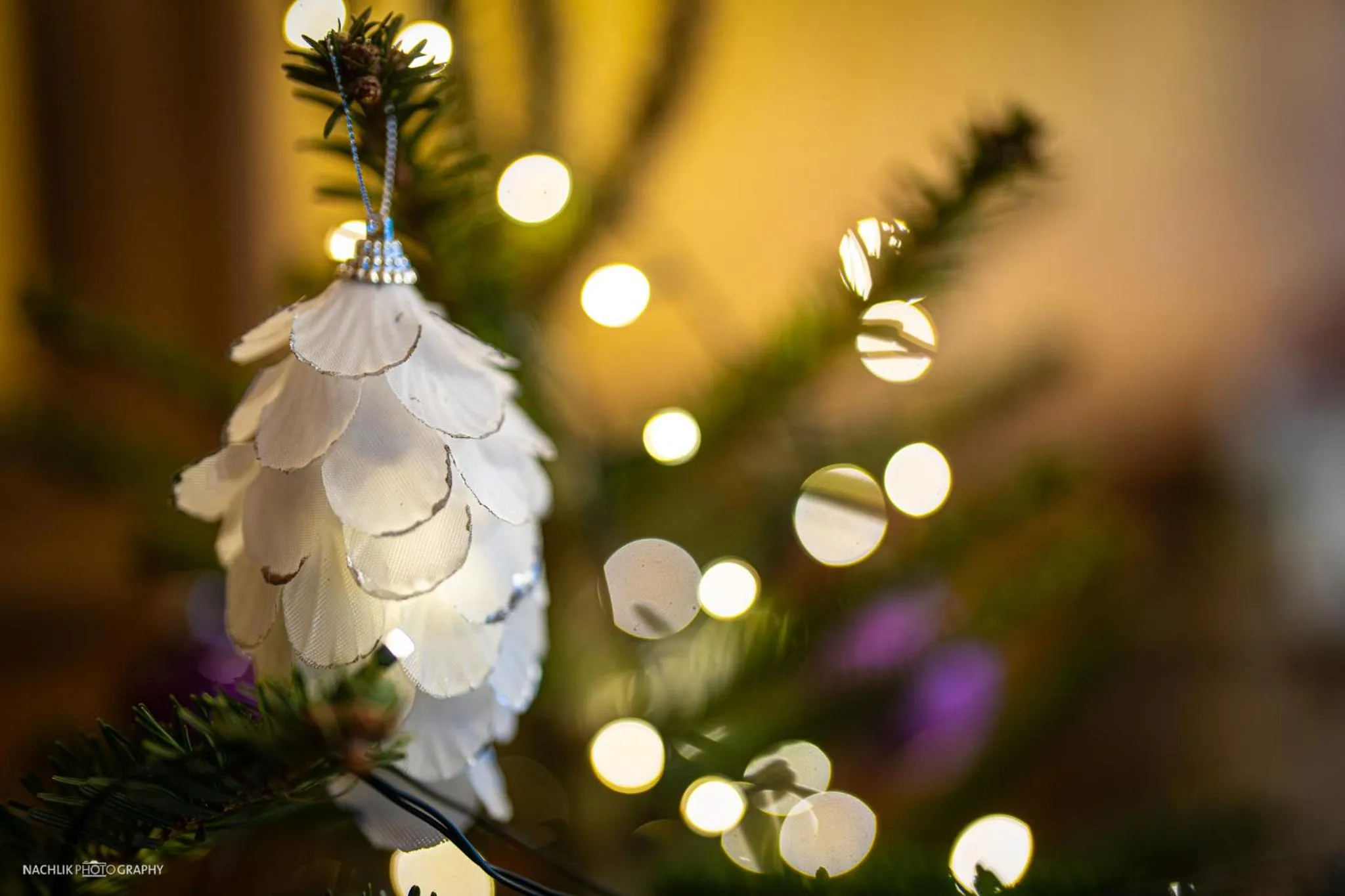 Schlosshotel Westerholt