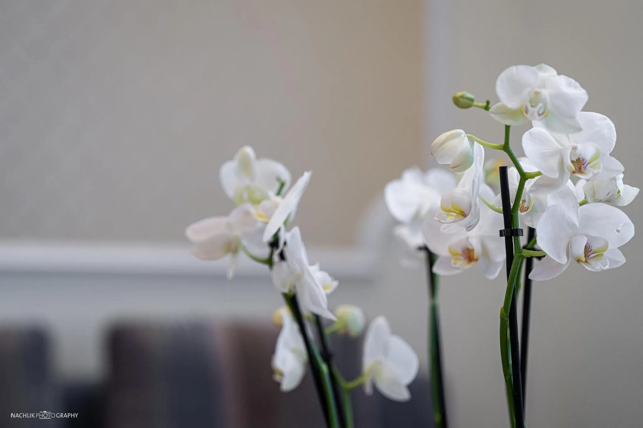 Schlosshotel Westerholt