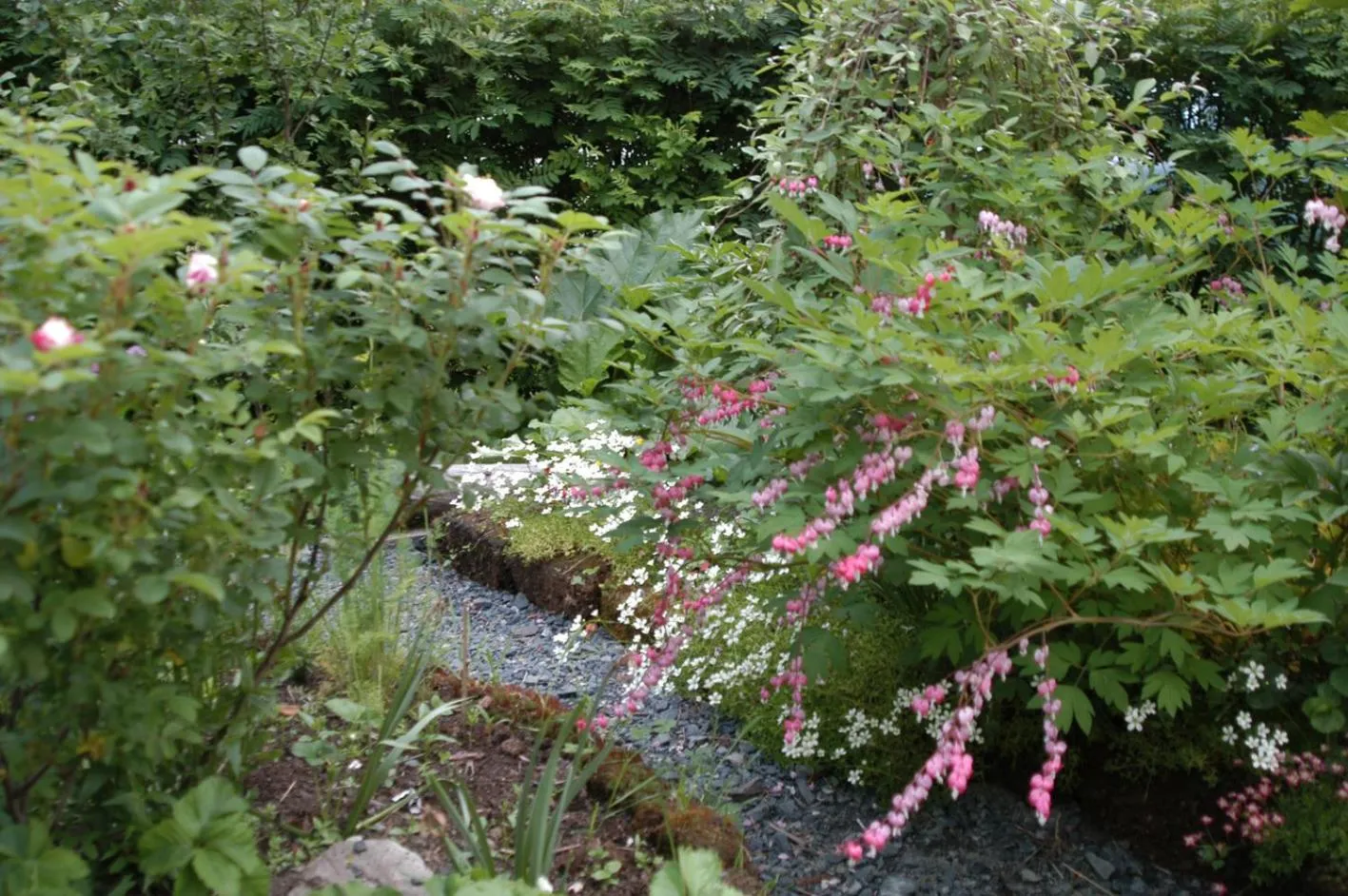 Garden in E-City B&B