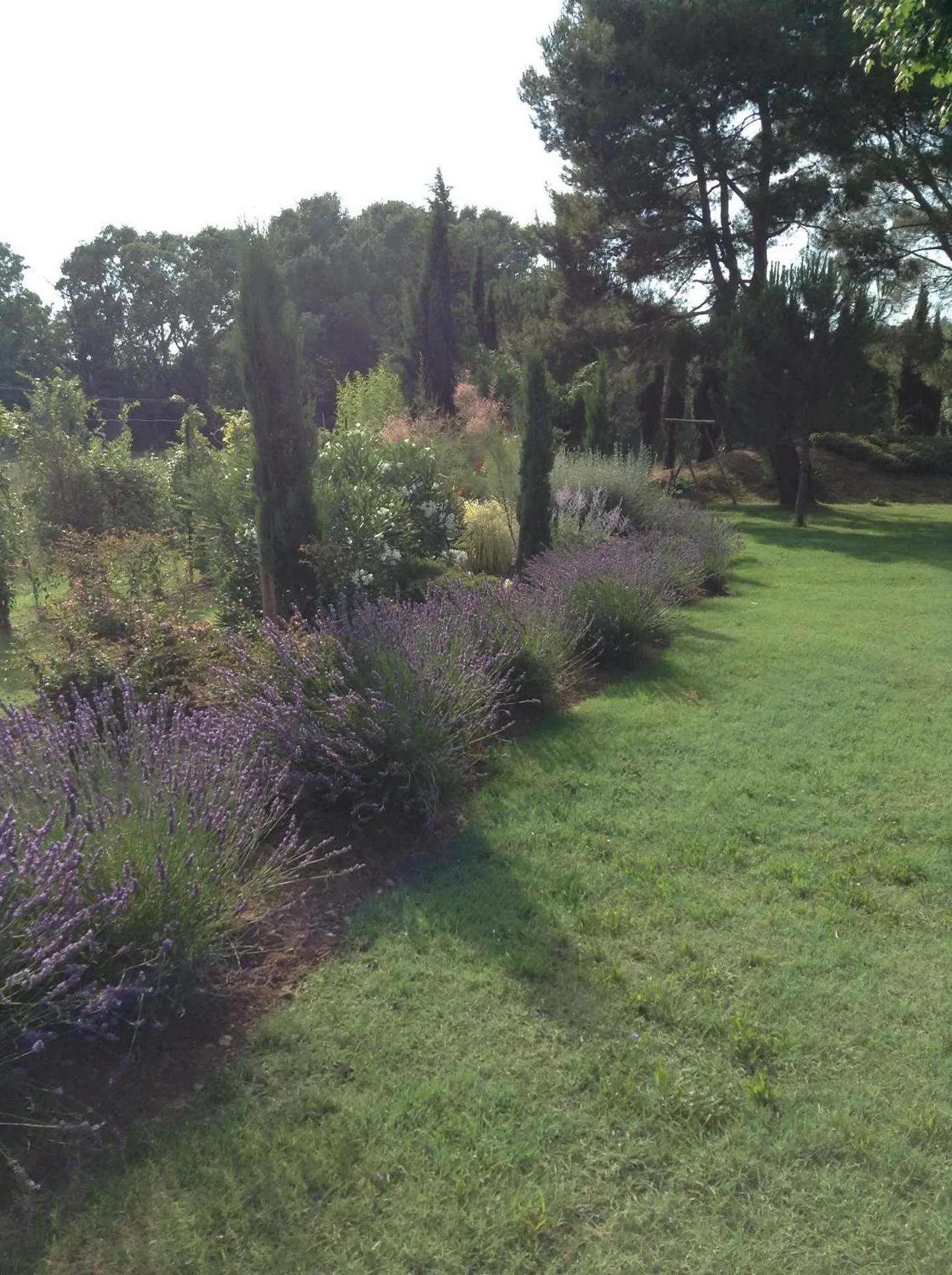 Garden in La Melizanne