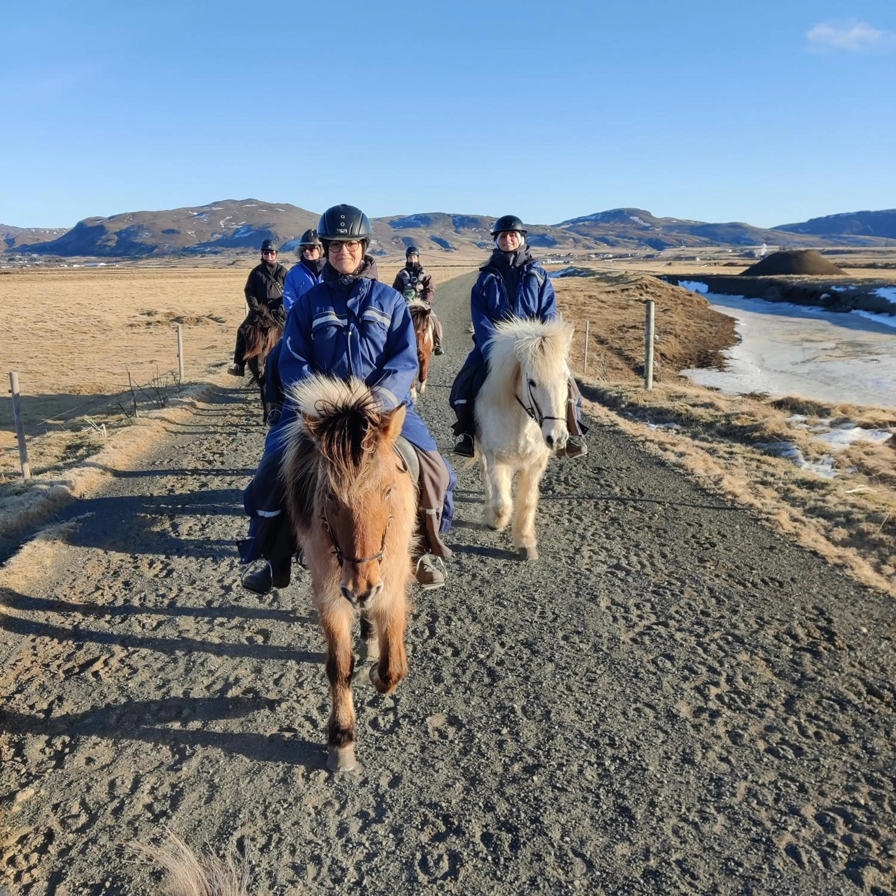 Horse-riding in Guesthouse Eldhestar