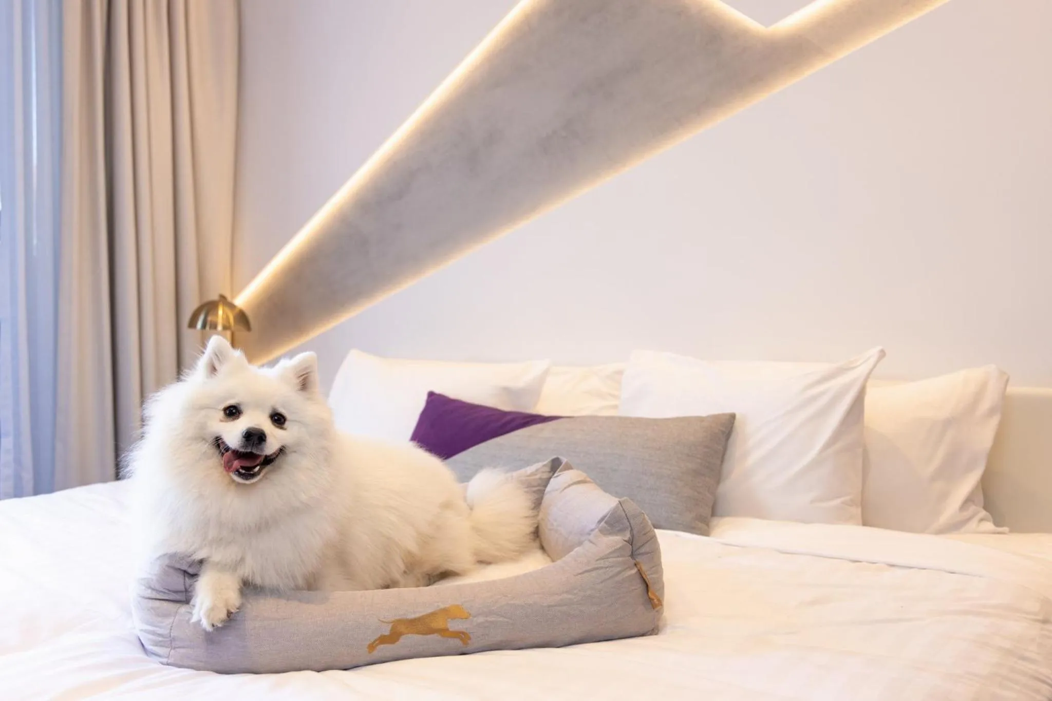 Photo of the whole room, Bed in Hotel X Brisbane Fortitude Vly, Vignette Collection by IHG