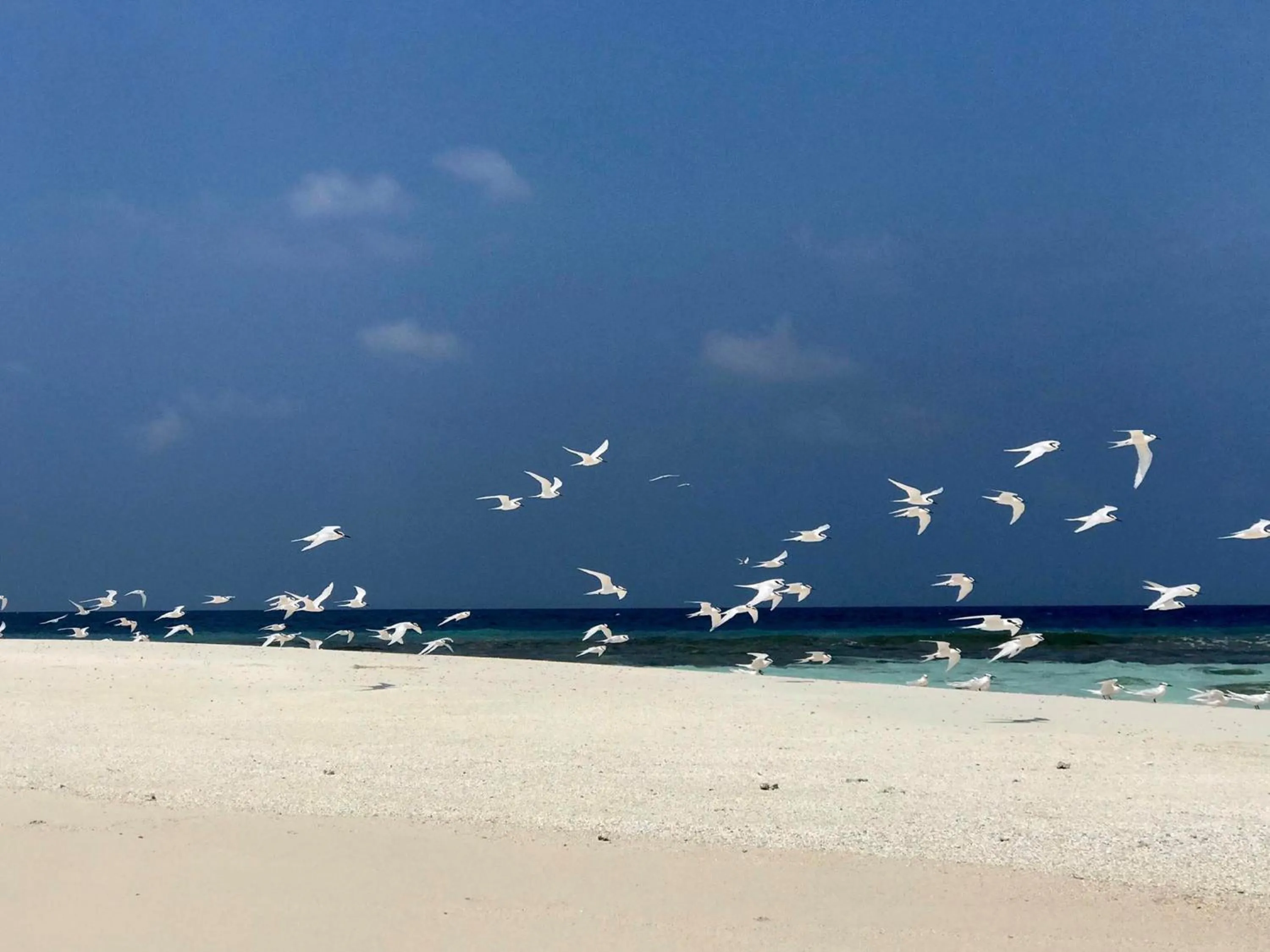 Nearby landmark in Huvan Inn