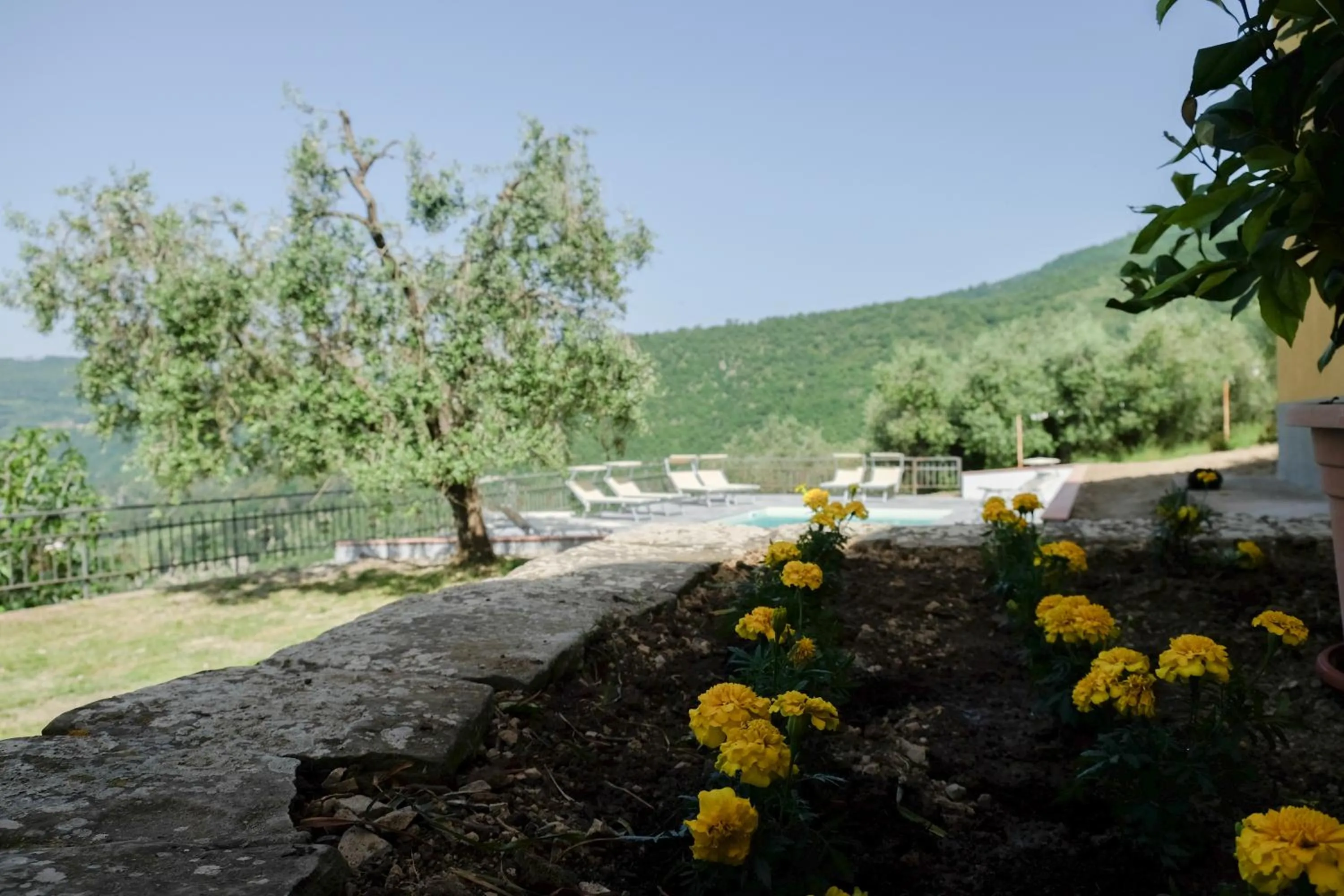 Agriturismo Antico Loggiato