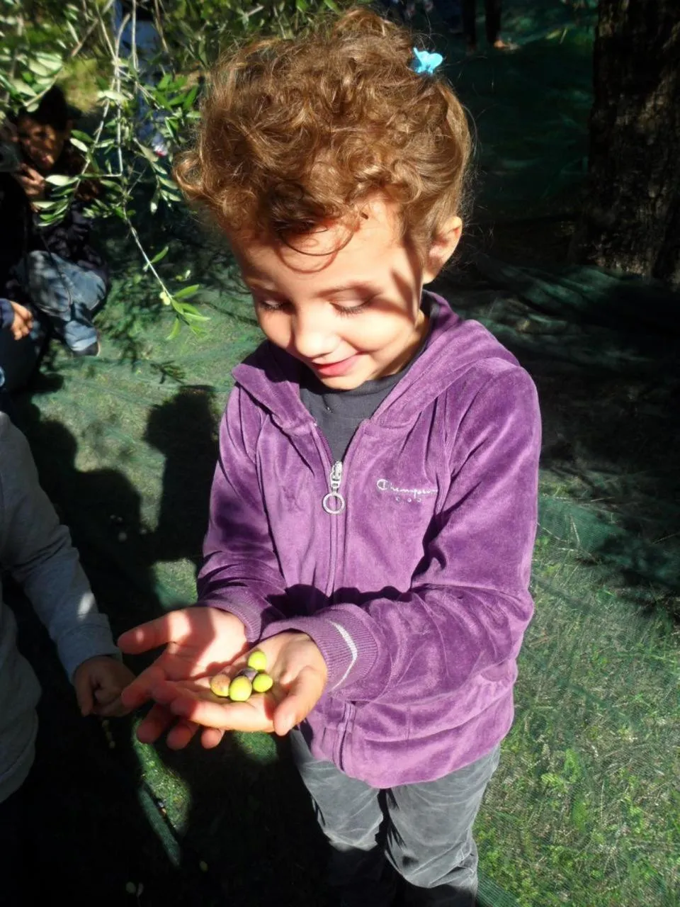 Agriturismo Antico Loggiato