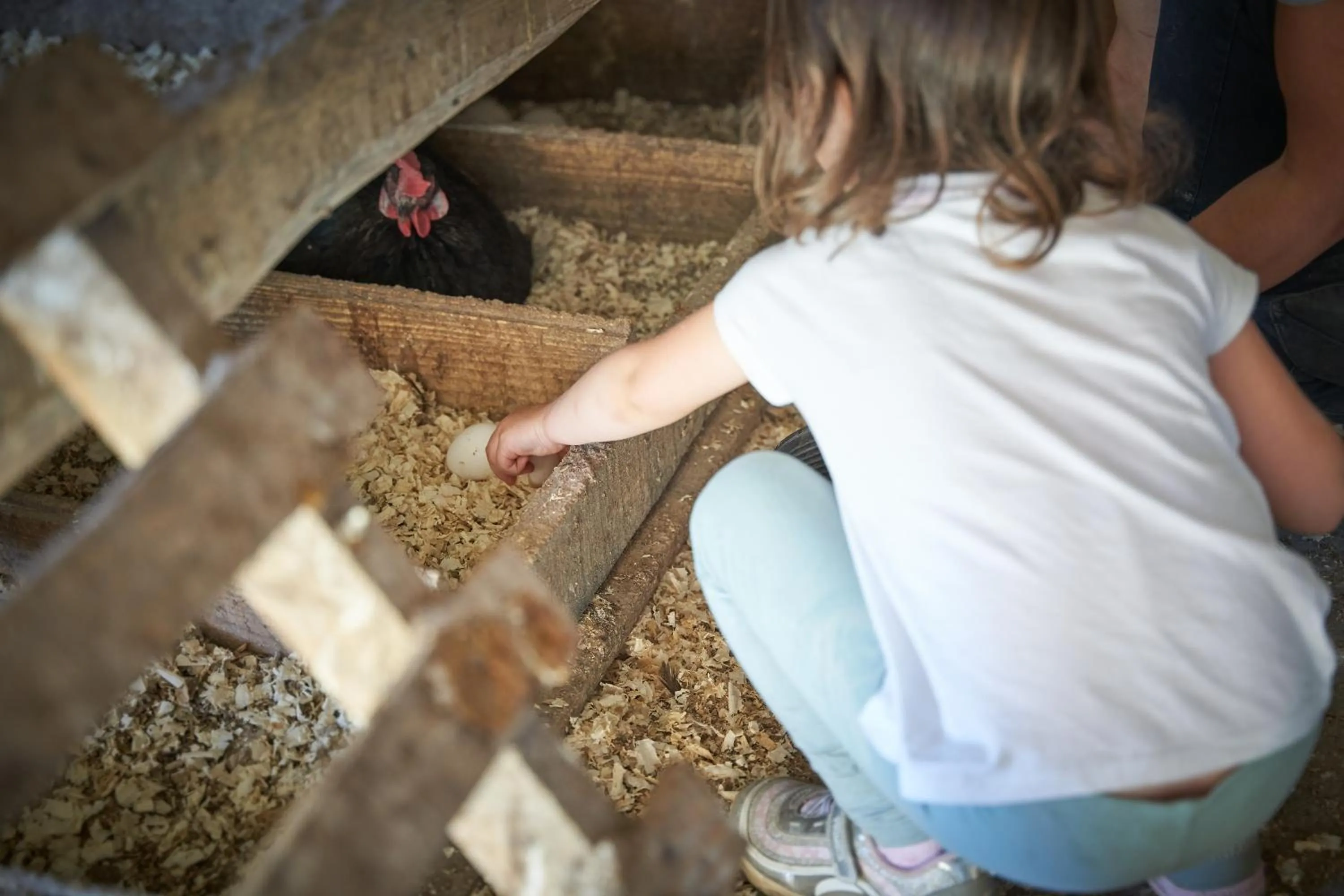 Agriturismo Antico Loggiato