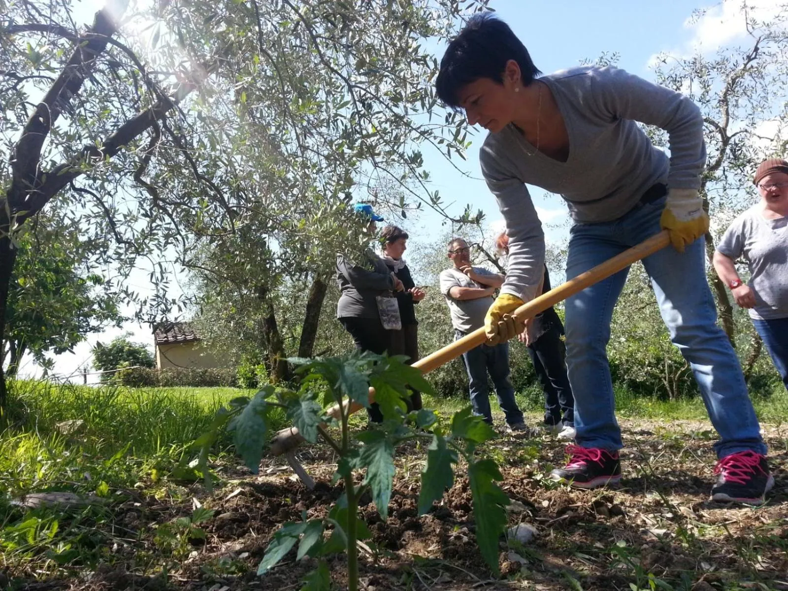 Agriturismo Antico Loggiato