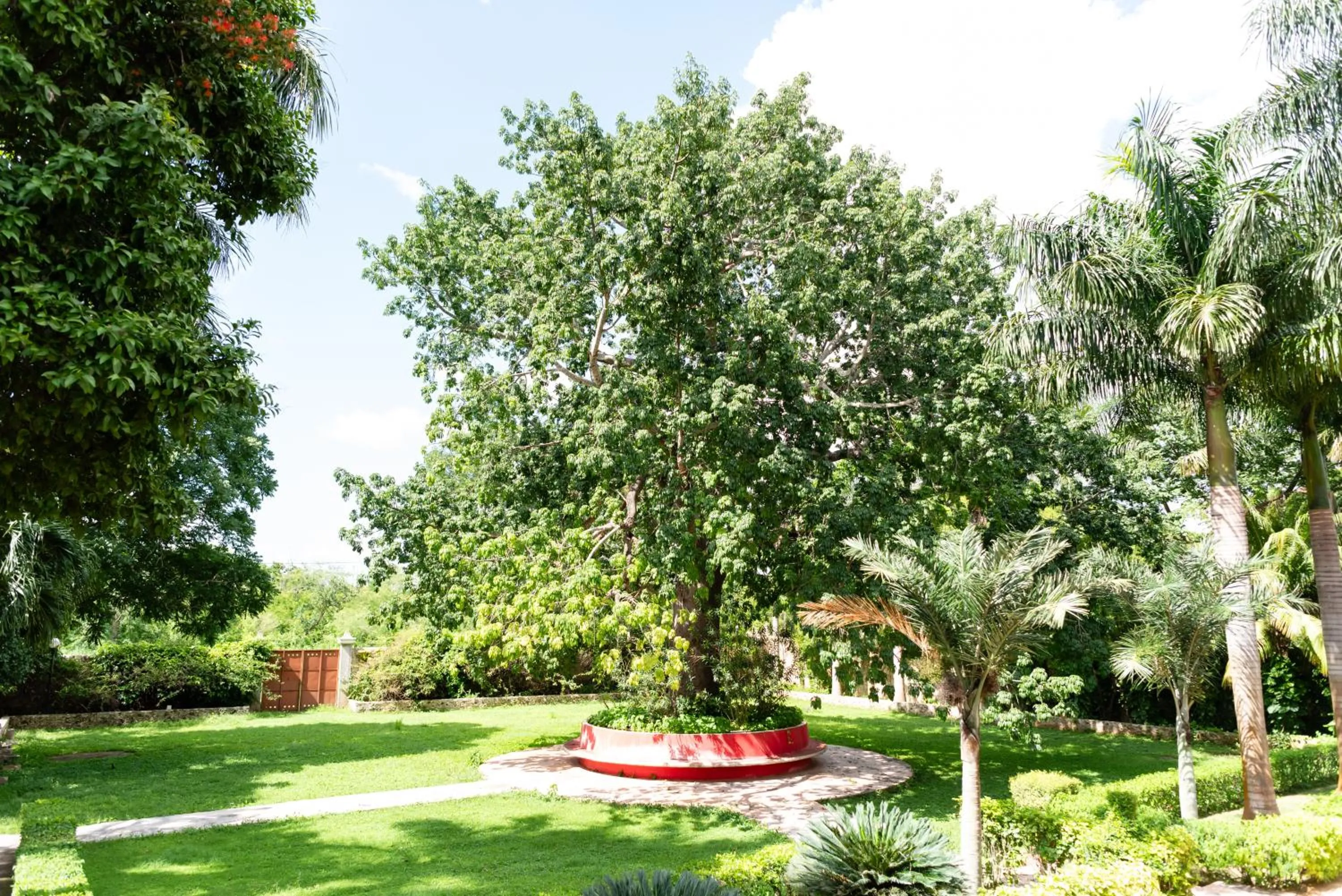 Spring in Hacienda Yabucu